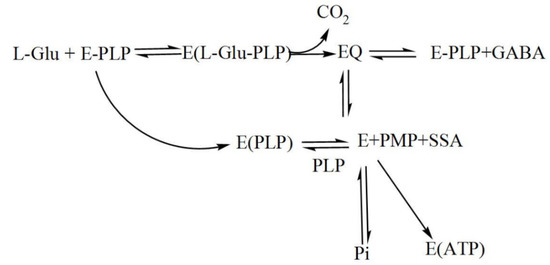 Microorganisms Free Full Text Glutamate Decarboxylase From Lactic Acid Bacteria A Key Enzyme In Gaba Synthesis Html