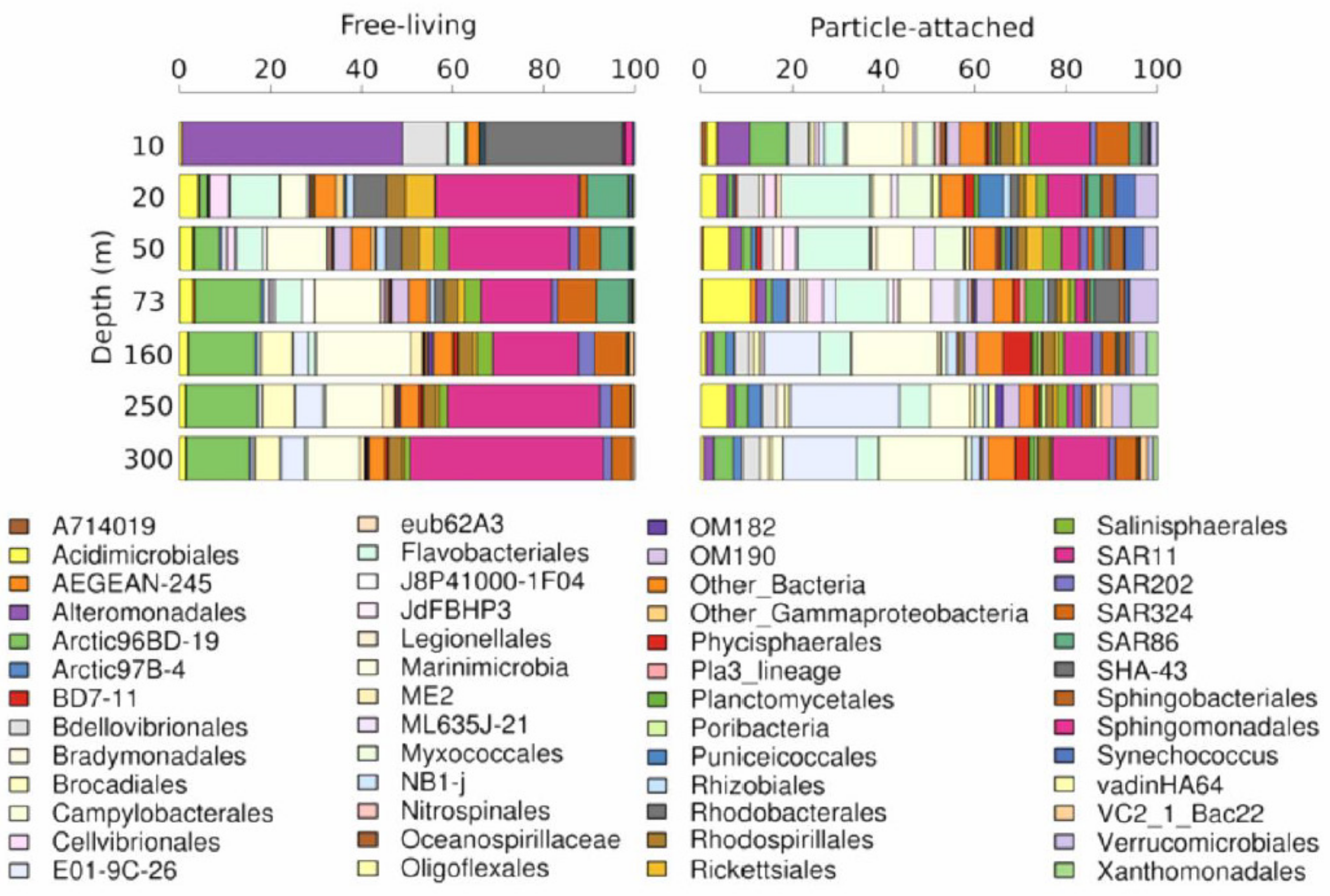Microorganisms 08 01924 g003