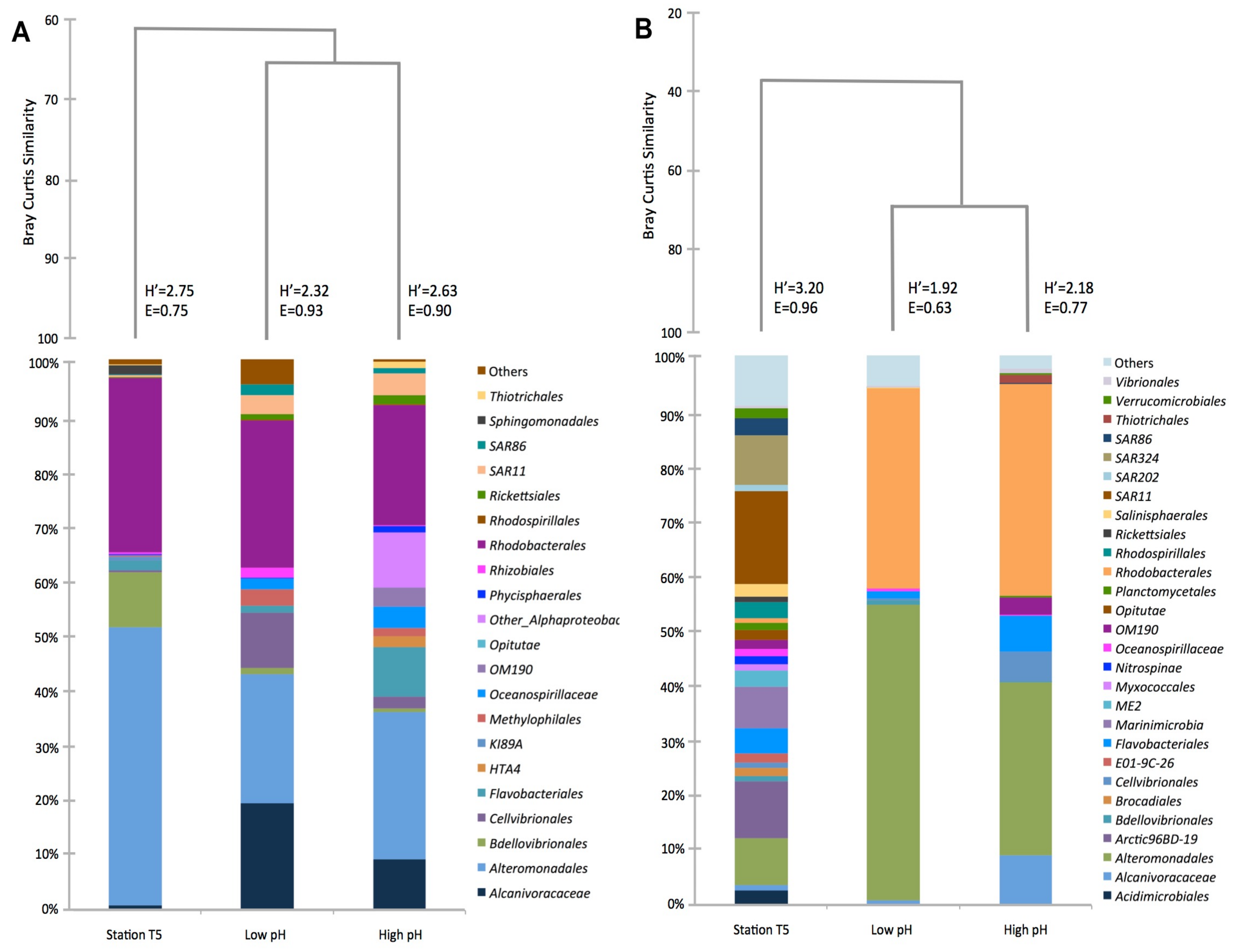 Microorganisms 08 01924 g005