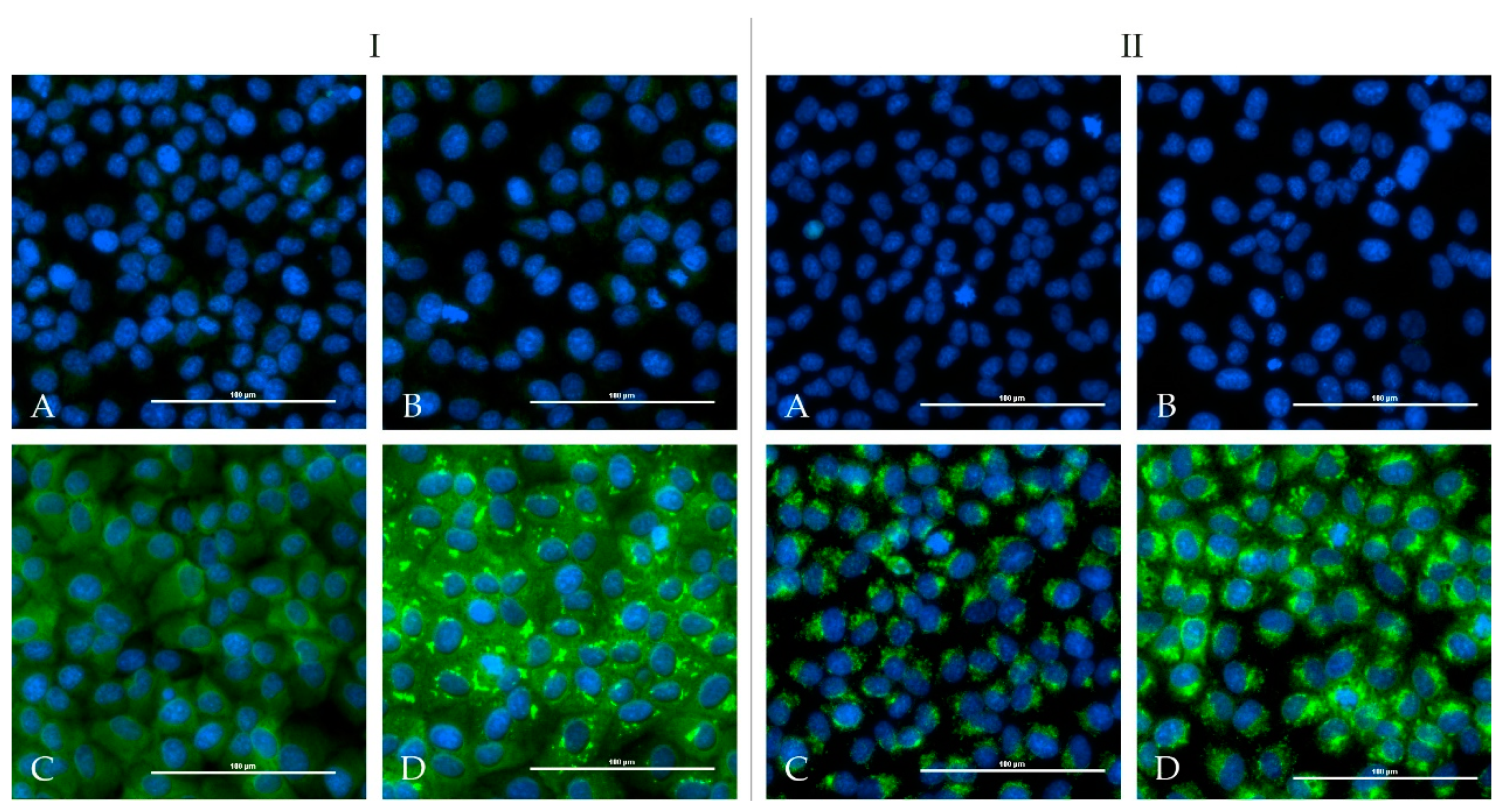 Microorganisms 08 01927 g002