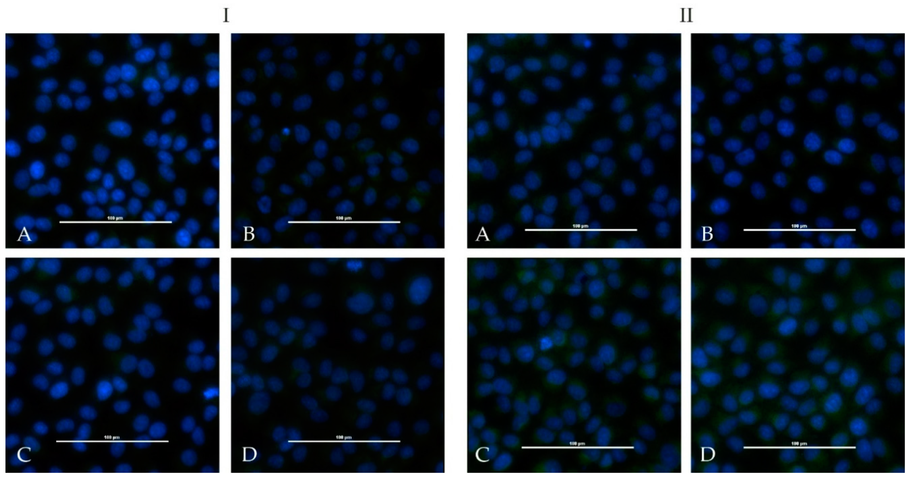 Microorganisms 08 01927 g005