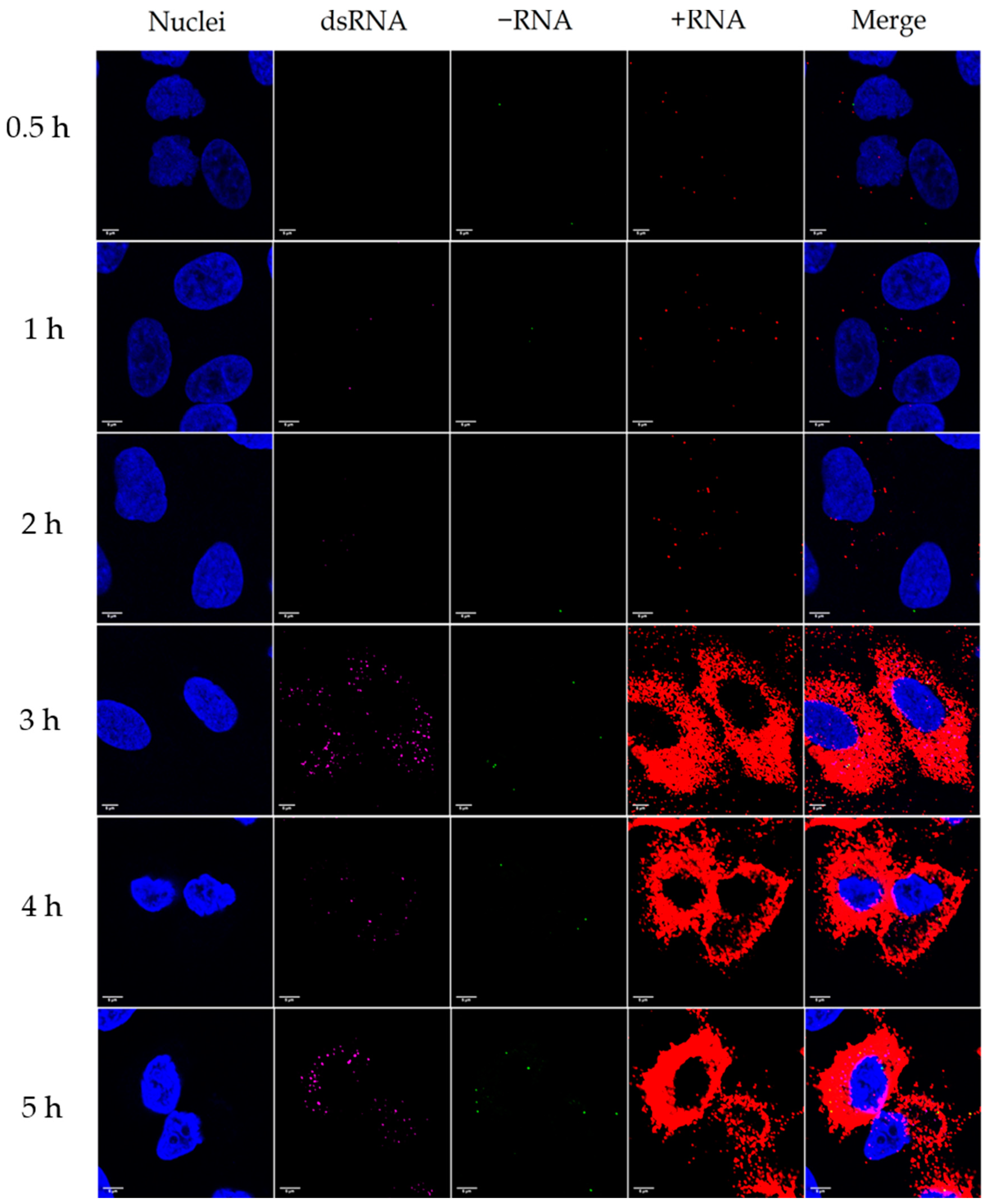 Microorganisms 08 01928 g003 Microorganisms 08 01928 g003