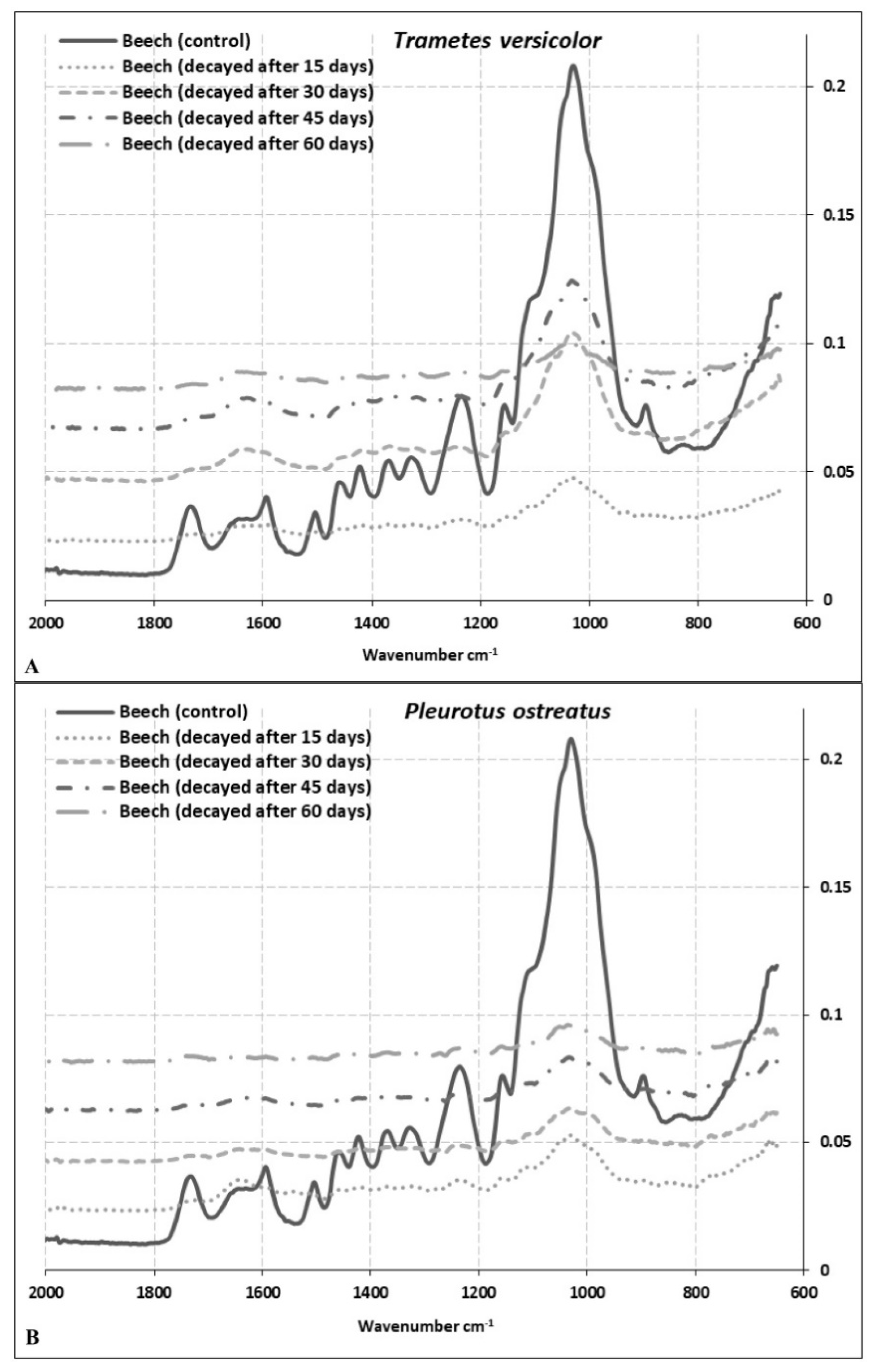 Microorganisms 08 01931 g004 Microorganisms 08 01931 g004