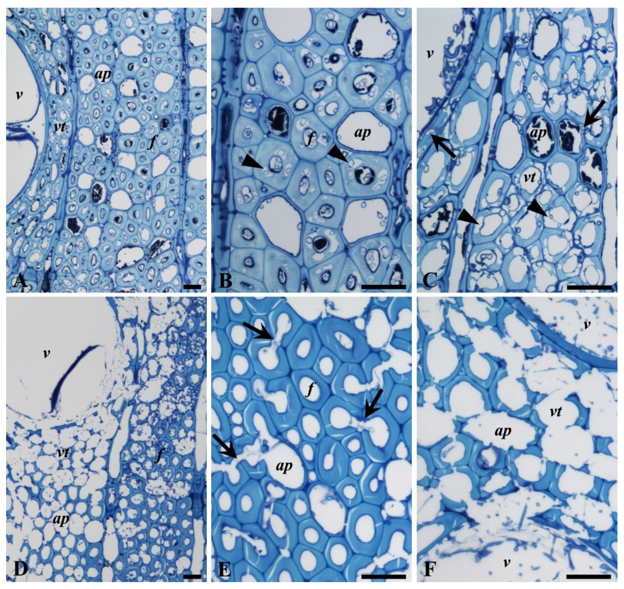 Microorganisms 08 01931 g009 Microorganisms 08 01931 g009