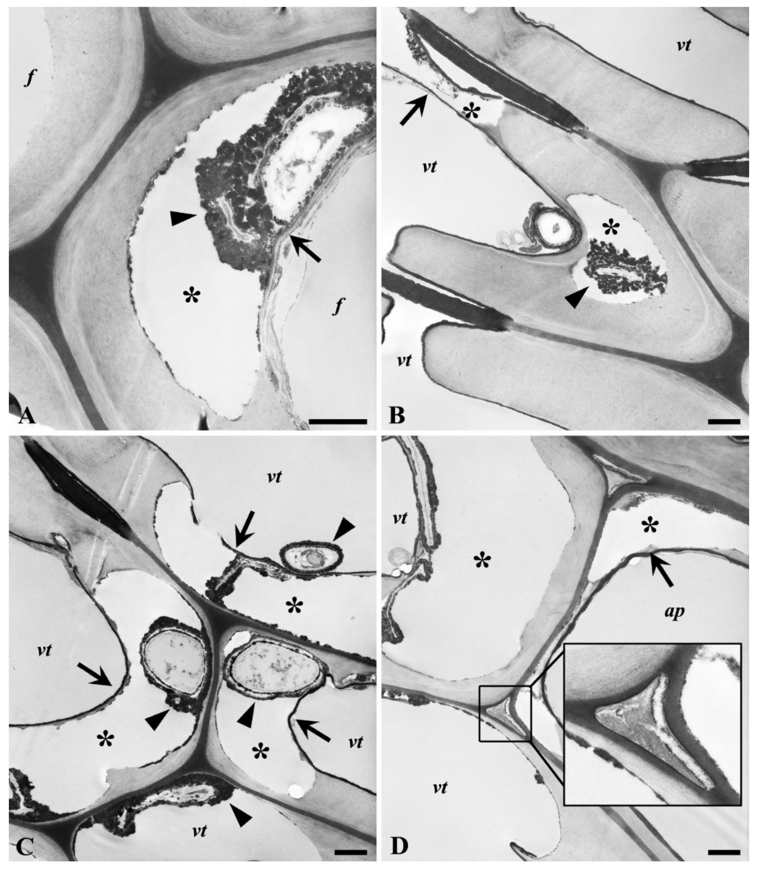Microorganisms 08 01931 g010 Microorganisms 08 01931 g010