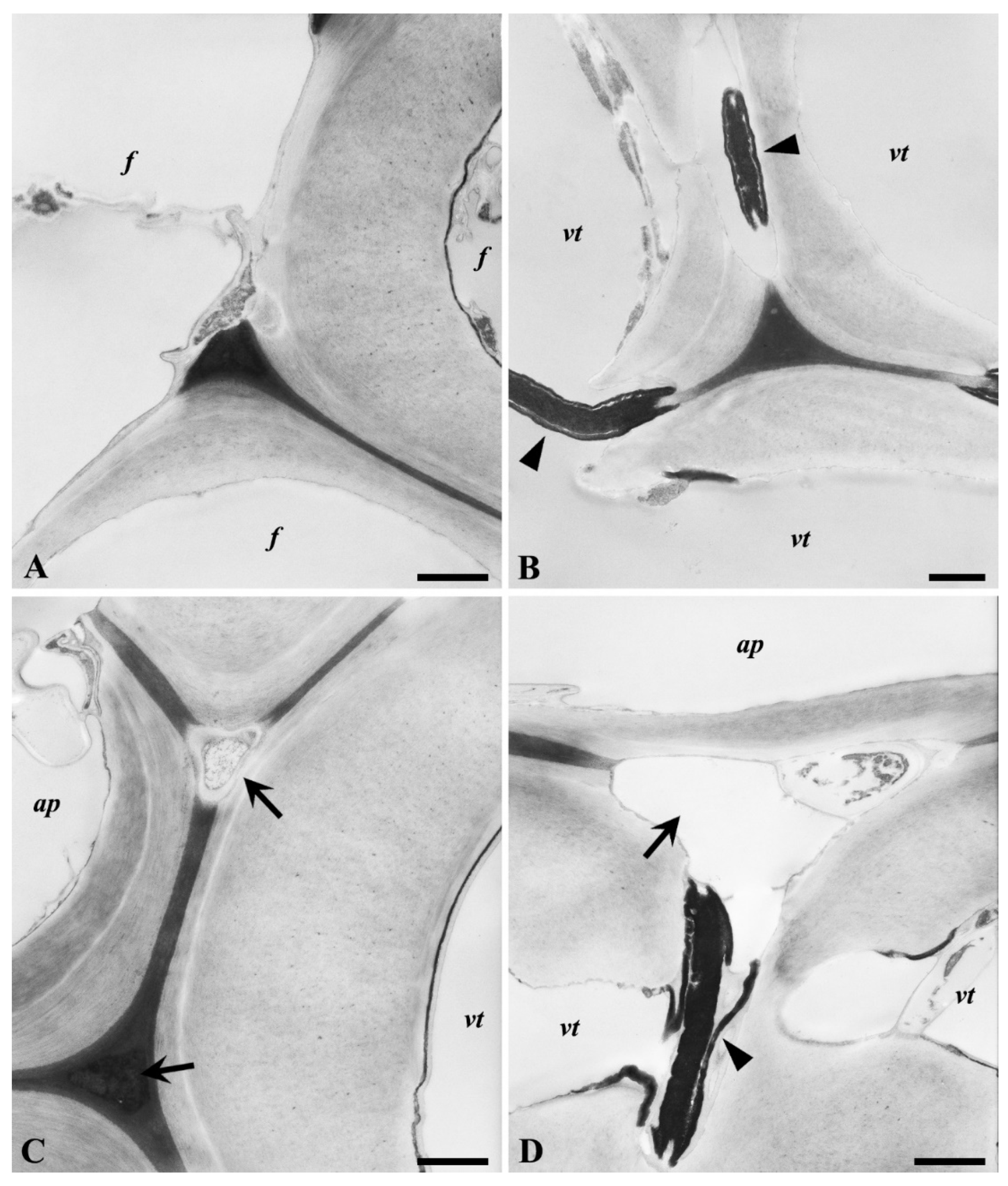 Microorganisms 08 01931 g011 Microorganisms 08 01931 g011