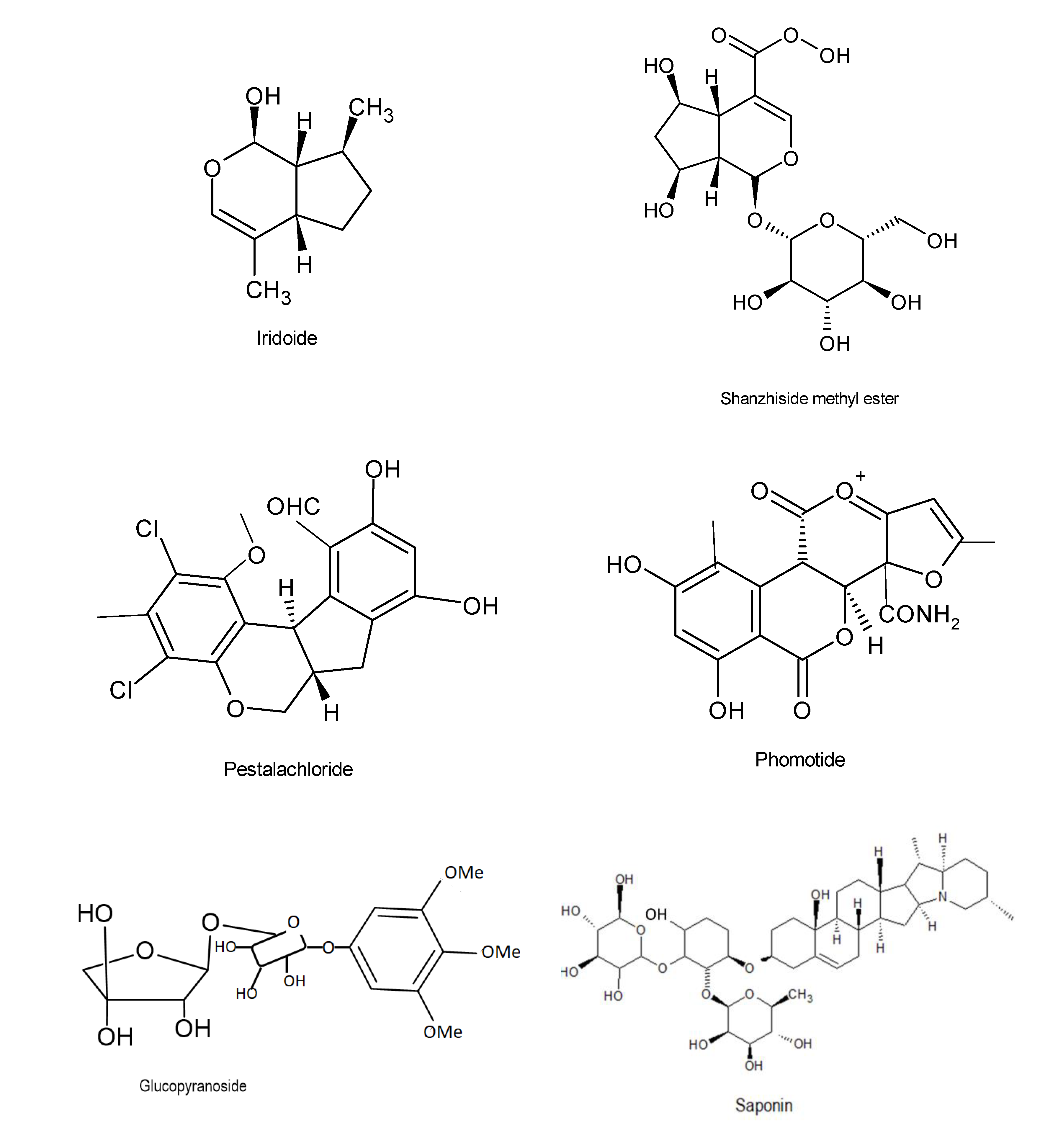 Microorganisms 08 01934 g003 Microorganisms 08 01934 g003