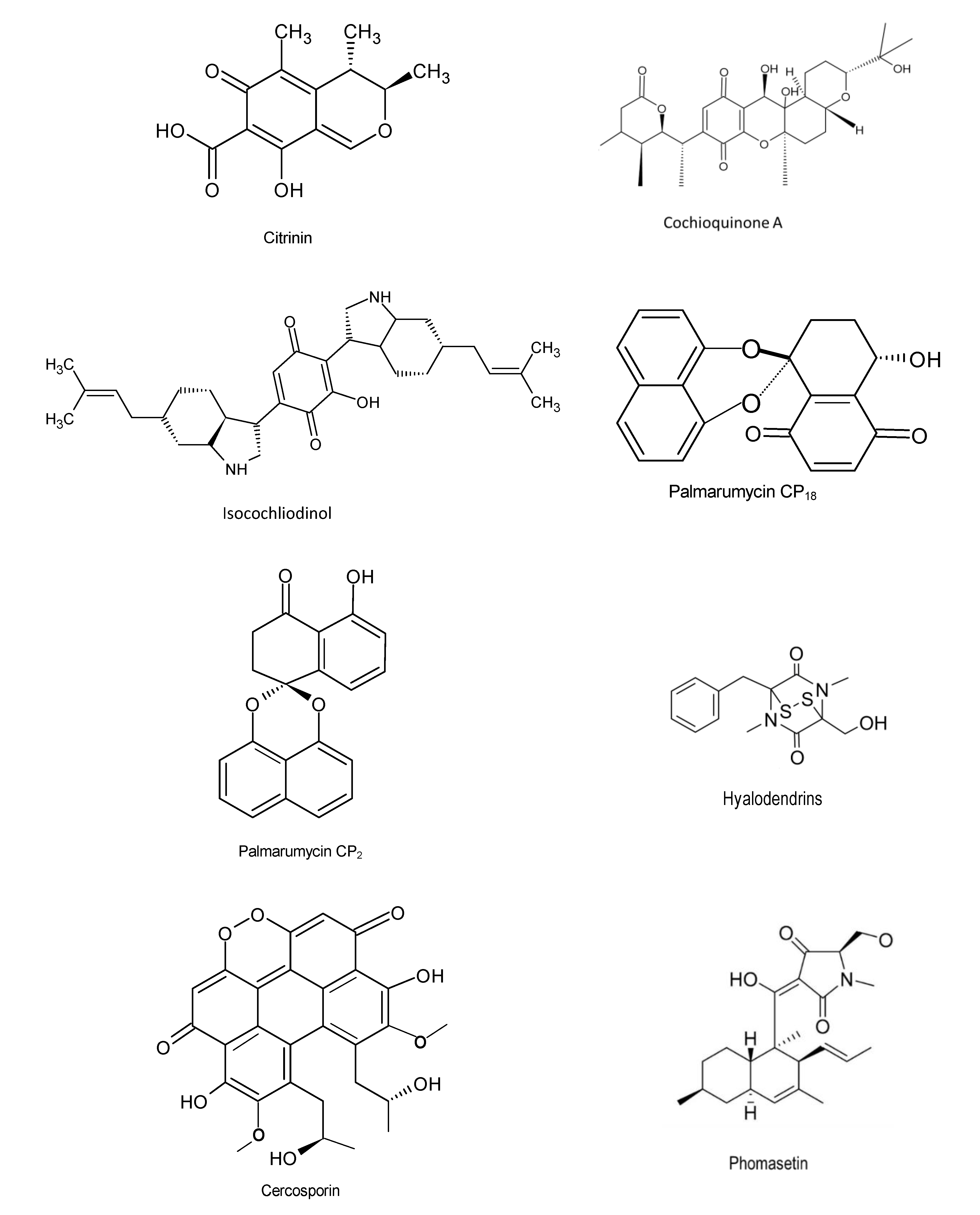 Microorganisms 08 01934 g006 Microorganisms 08 01934 g006
