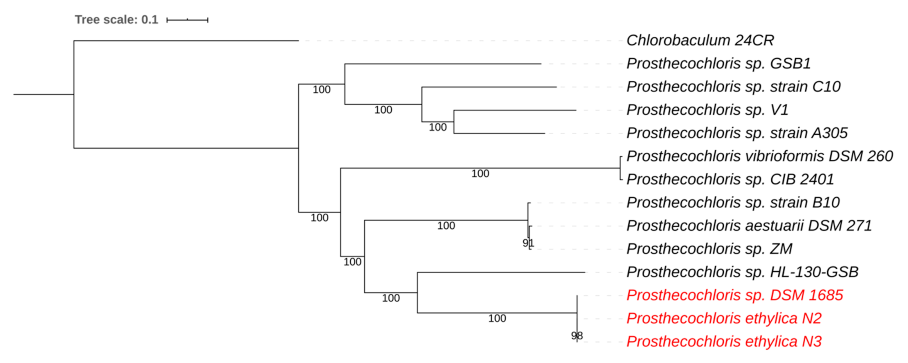 Microorganisms 08 01939 g002