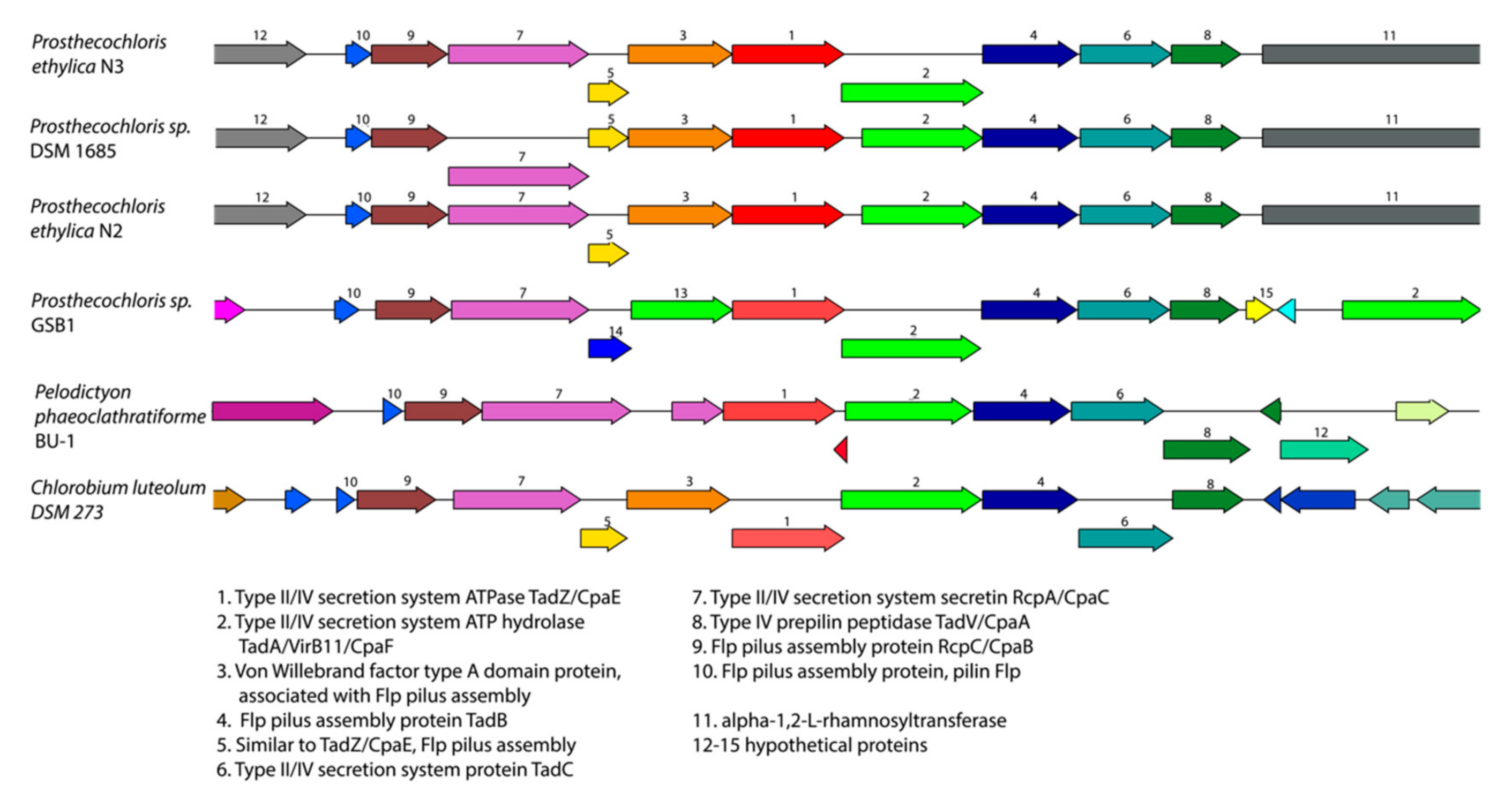 Microorganisms 08 01939 g003