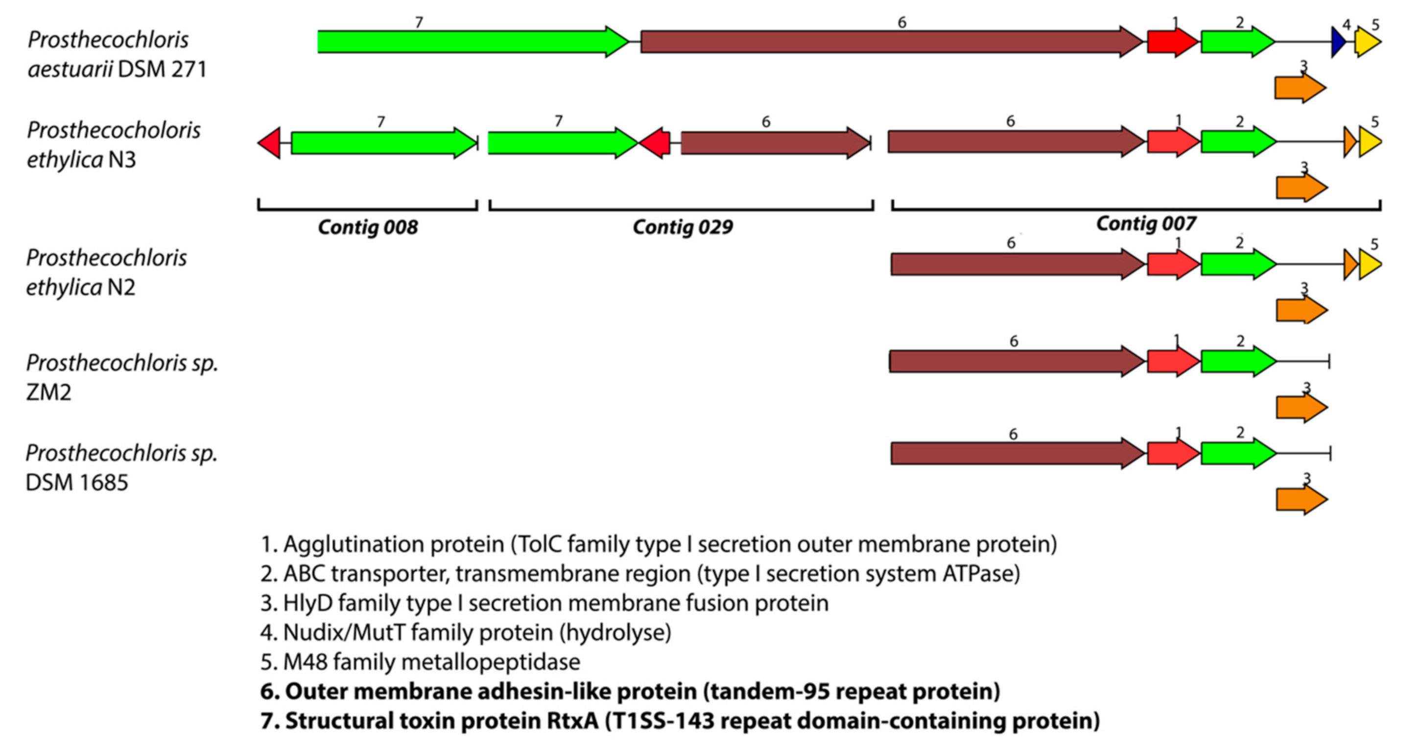 Microorganisms 08 01939 g004