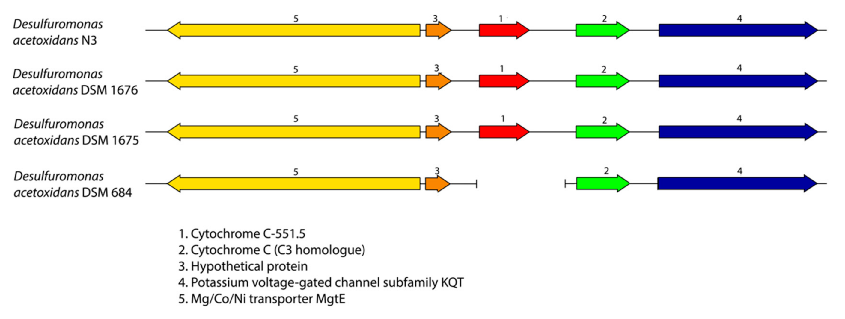 Microorganisms 08 01939 g006