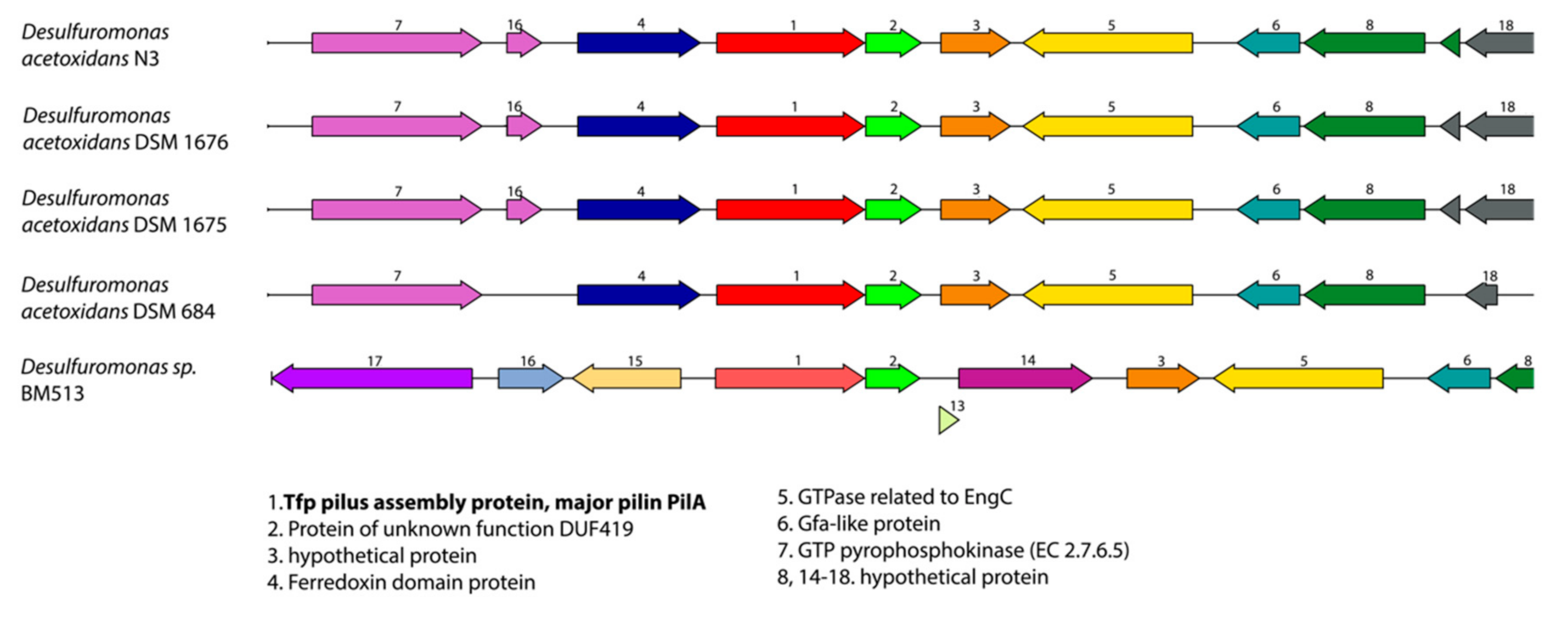 Microorganisms 08 01939 g007