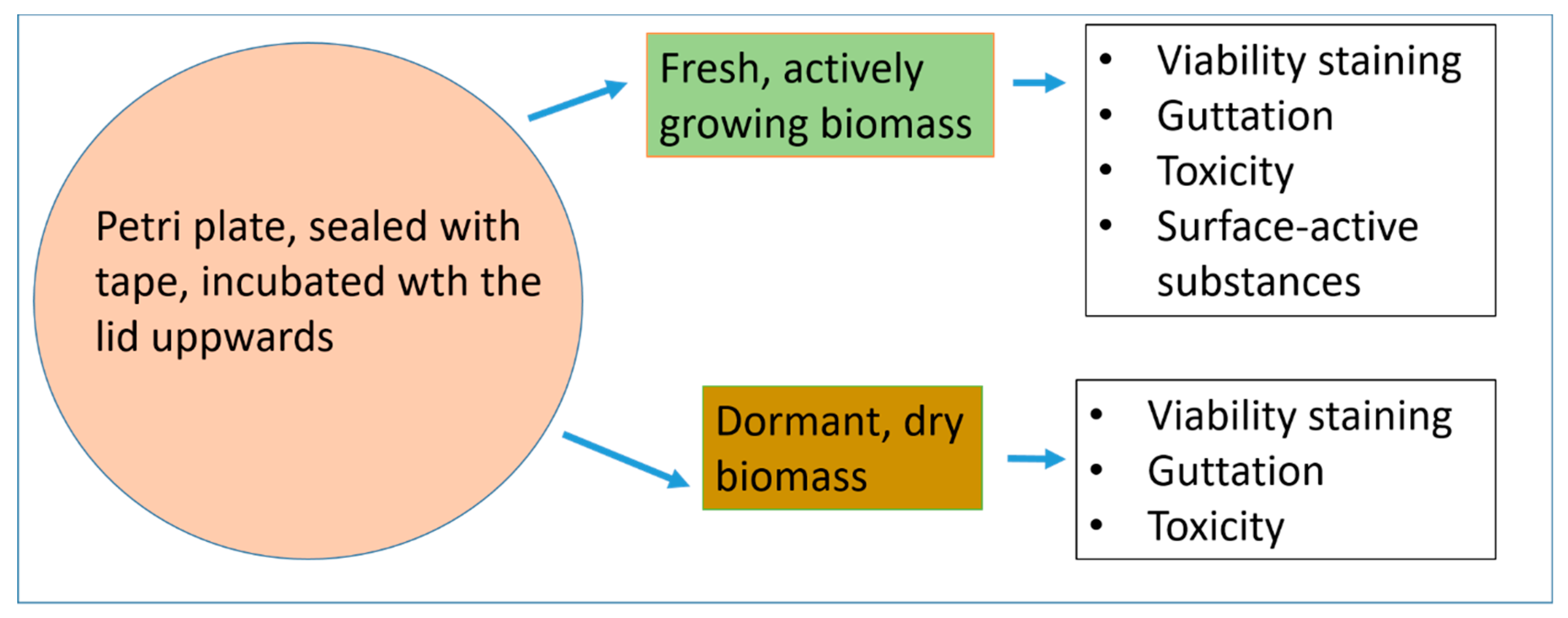 Microorganisms 08 01940 g001 Microorganisms 08 01940 g001