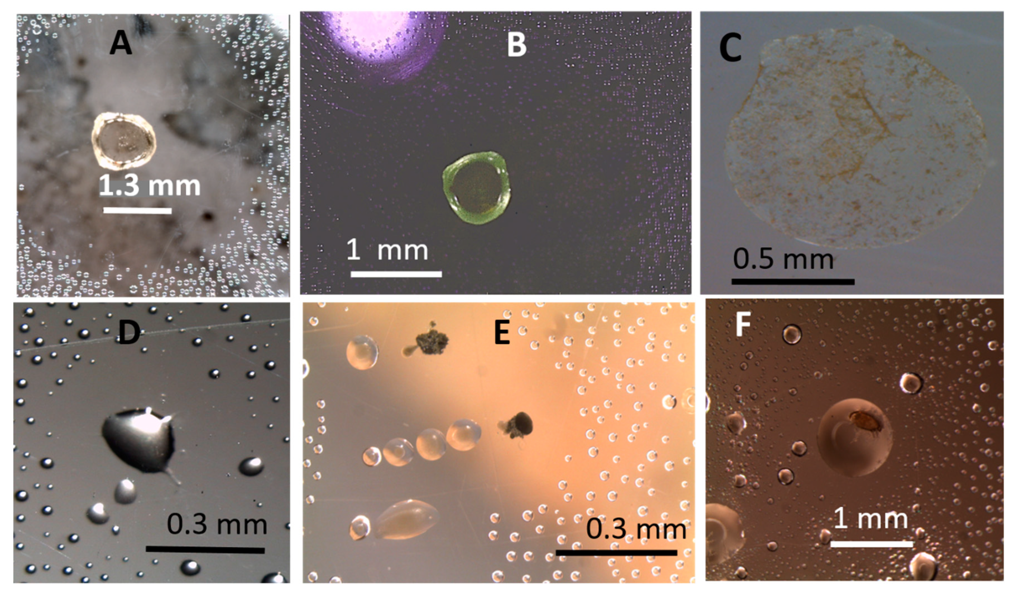 Microorganisms 08 01940 g011 Microorganisms 08 01940 g011