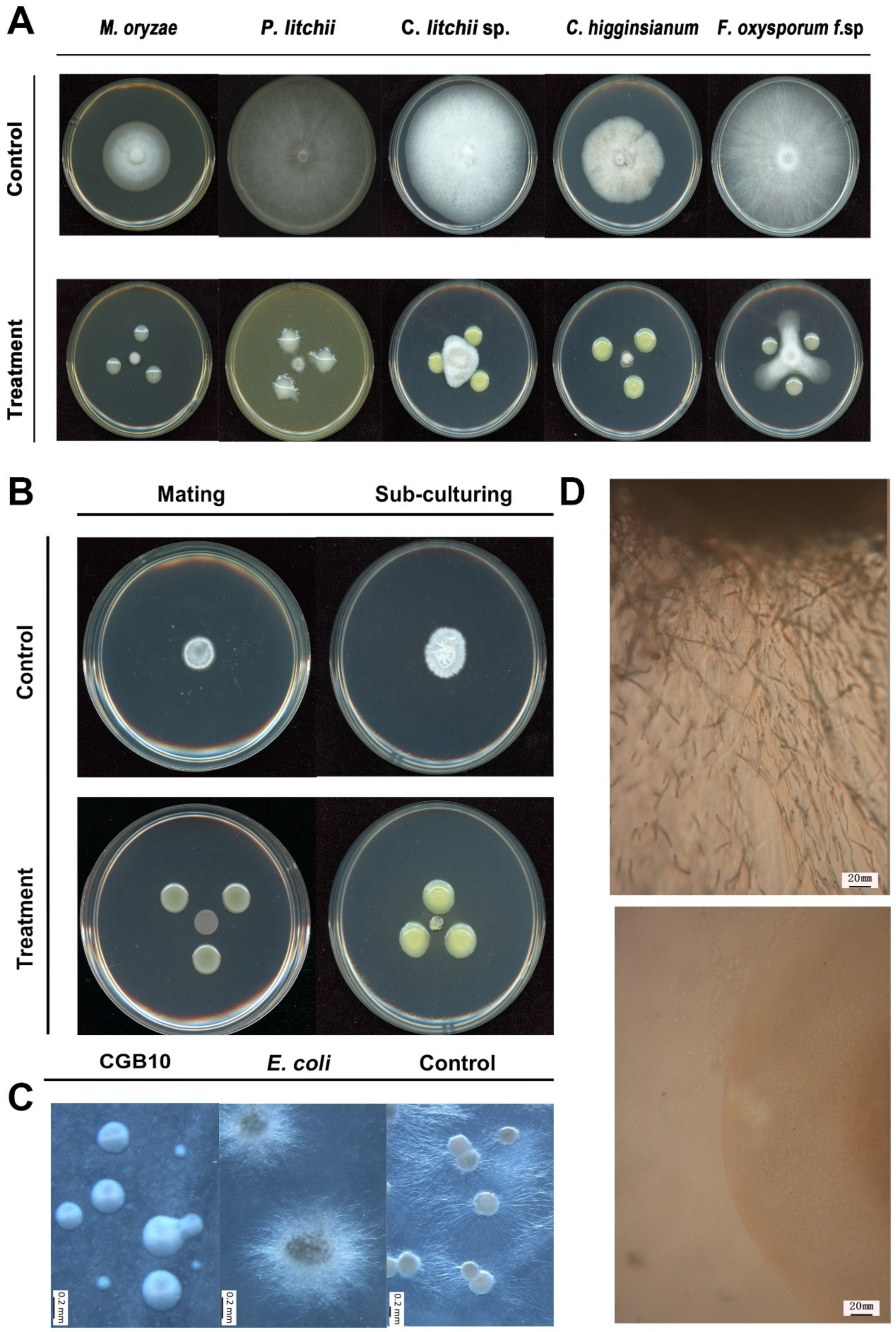 Microorganisms 08 01943 g002