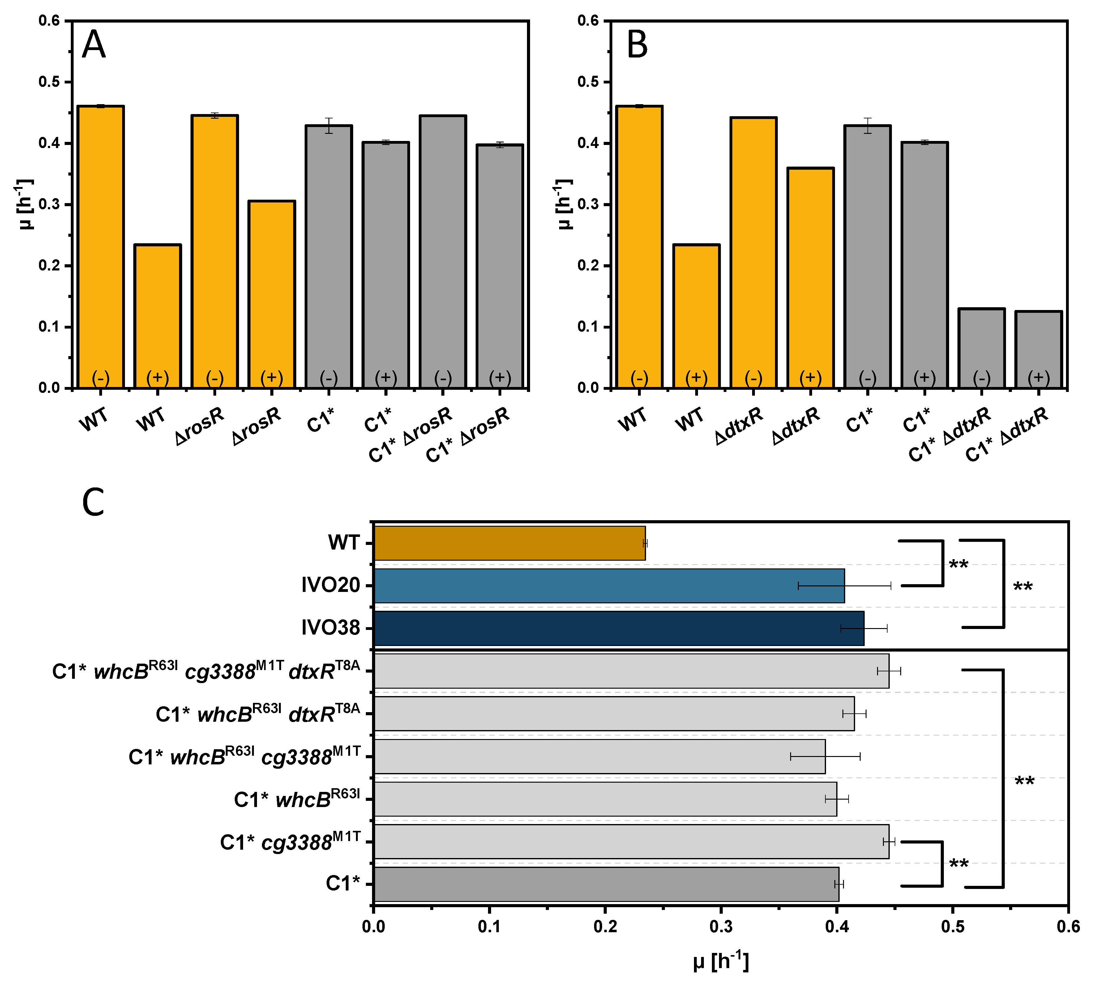 Microorganisms 08 01945 g005 Microorganisms 08 01945 g005