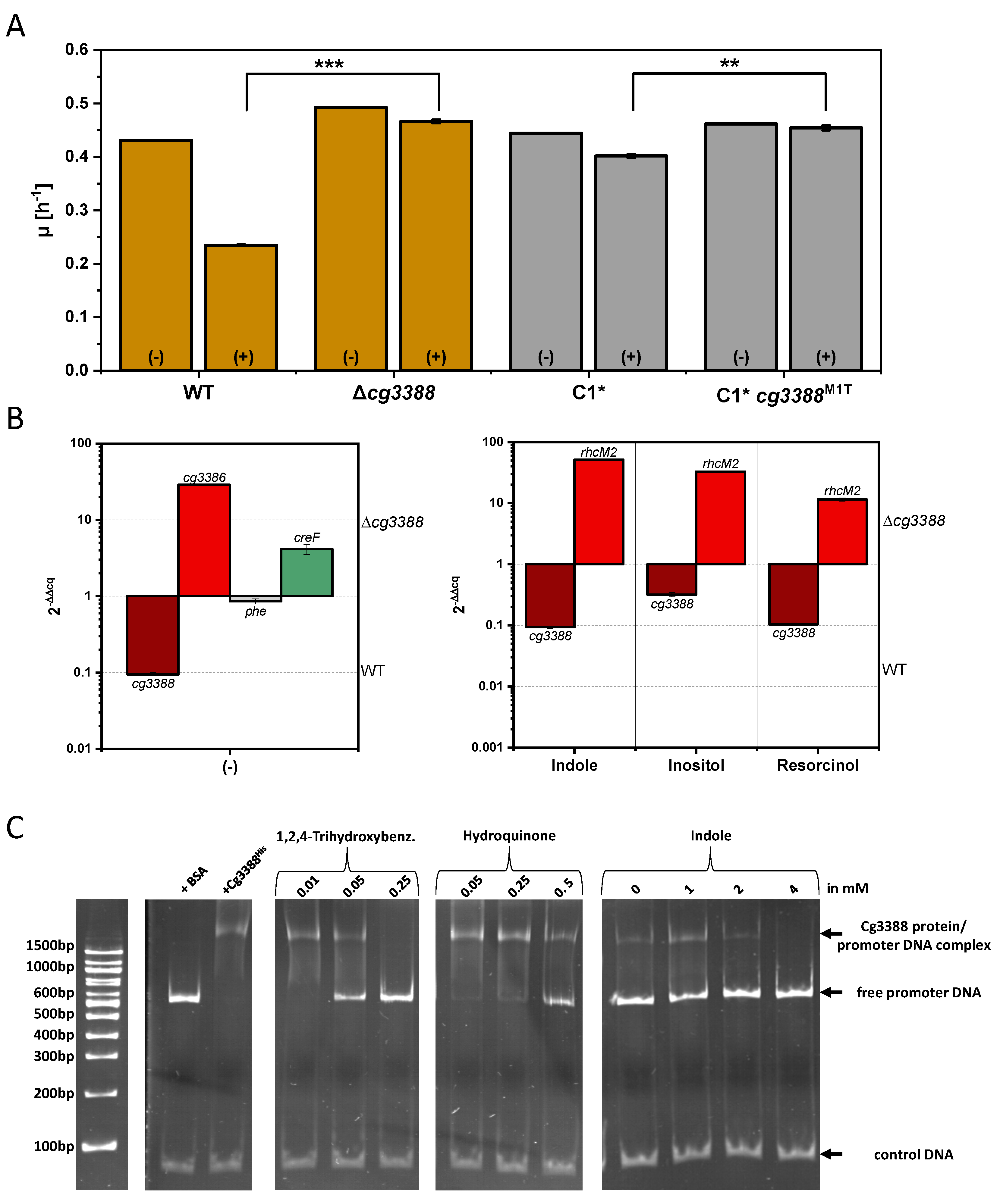 Microorganisms 08 01945 g006 Microorganisms 08 01945 g006
