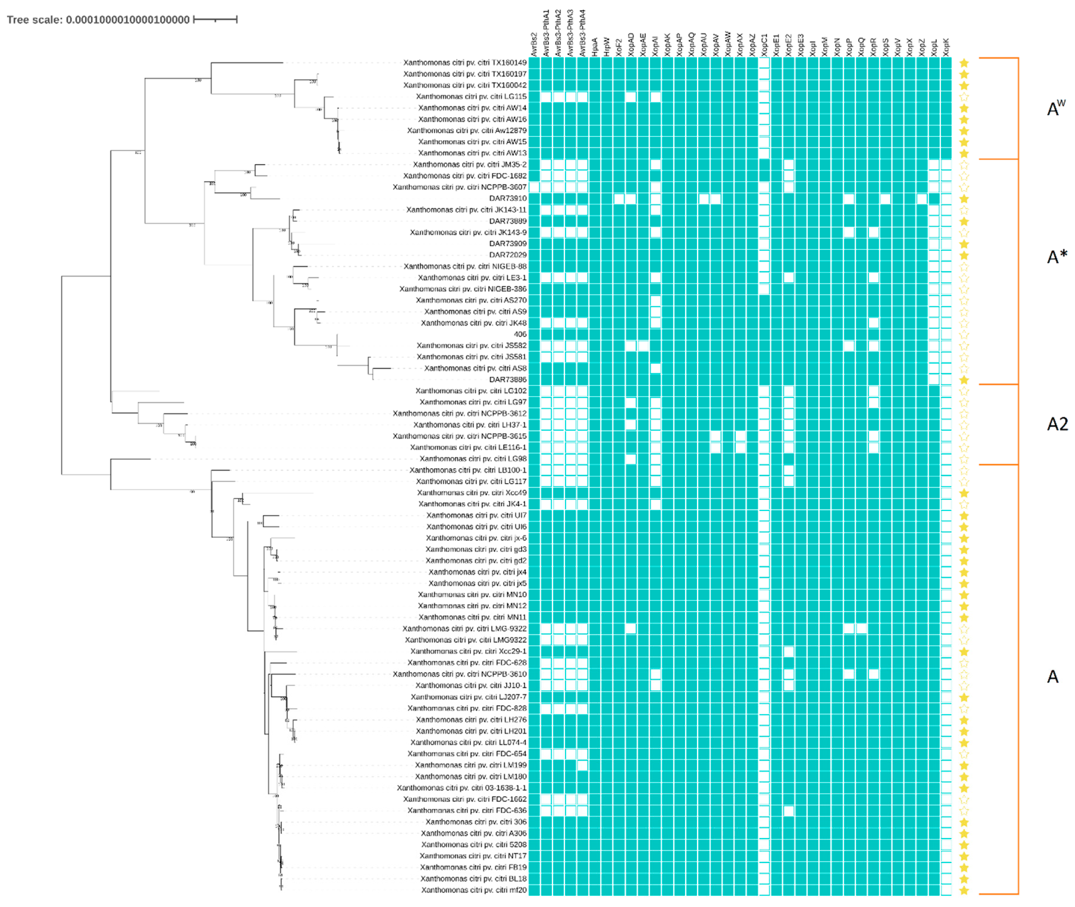 Microorganisms 08 01947 g001