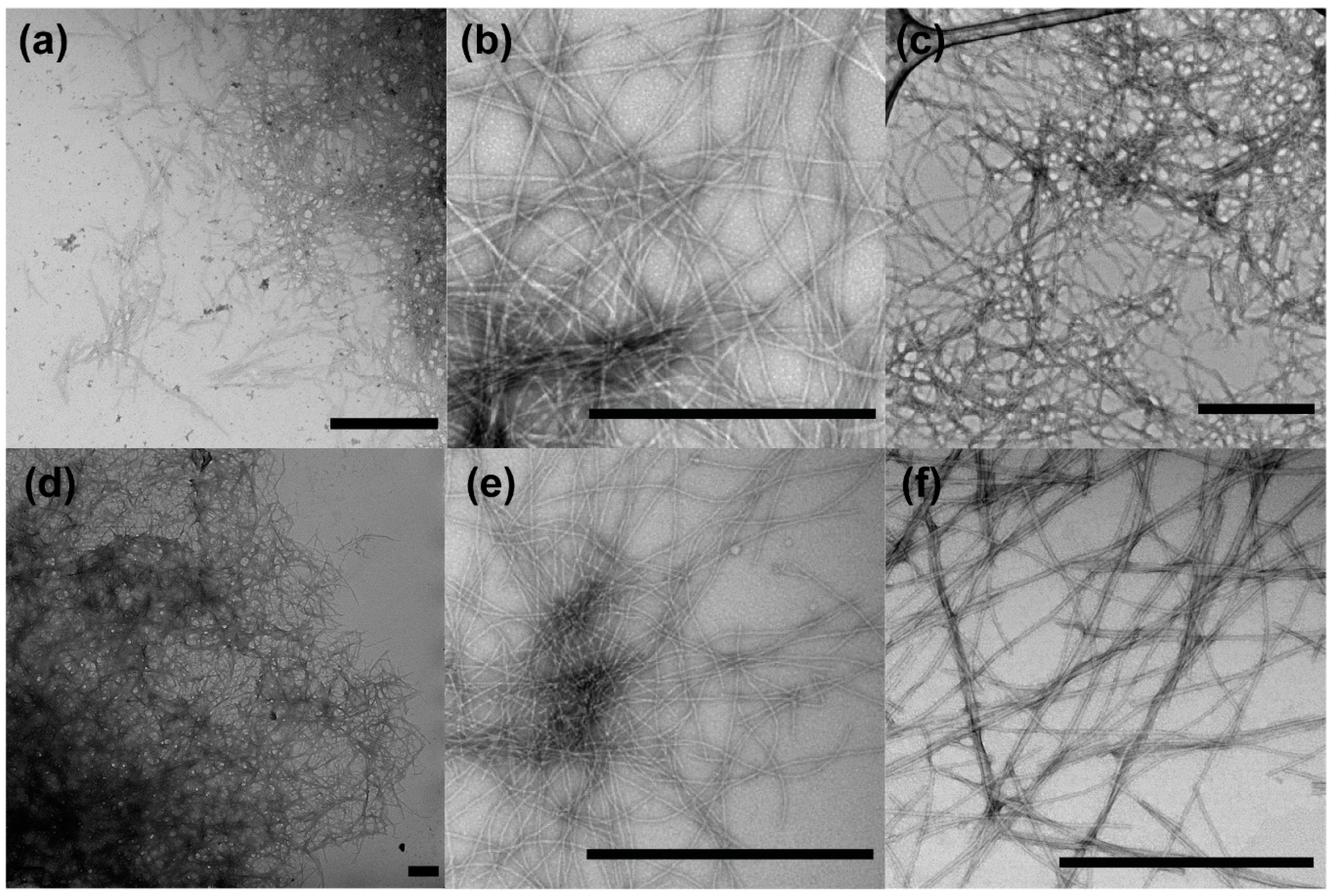 Microorganisms 08 01951 g001 Microorganisms 08 01951 g001