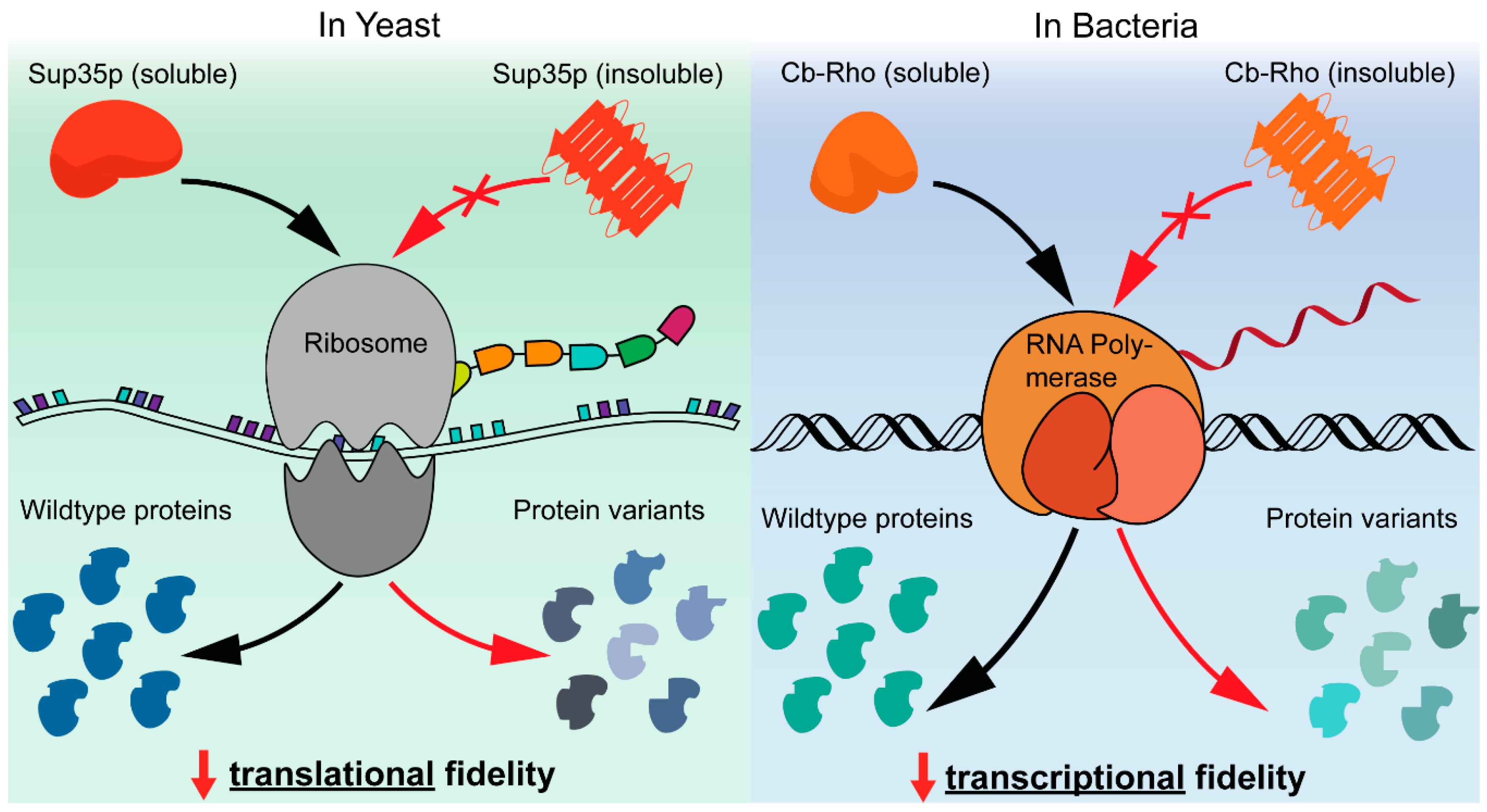 Microorganisms 08 01951 g004 Microorganisms 08 01951 g004