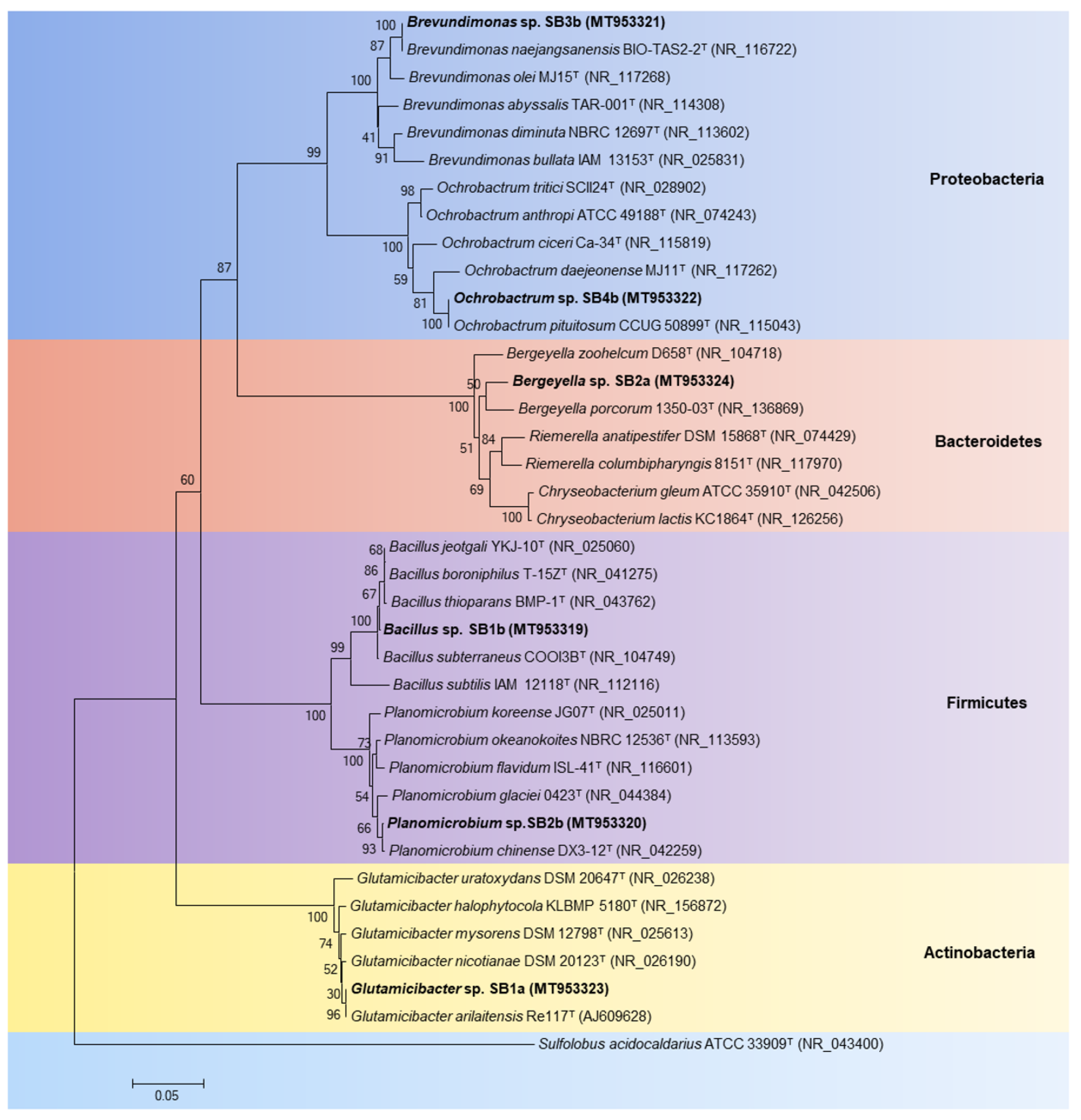 Microorganisms 08 01952 g005