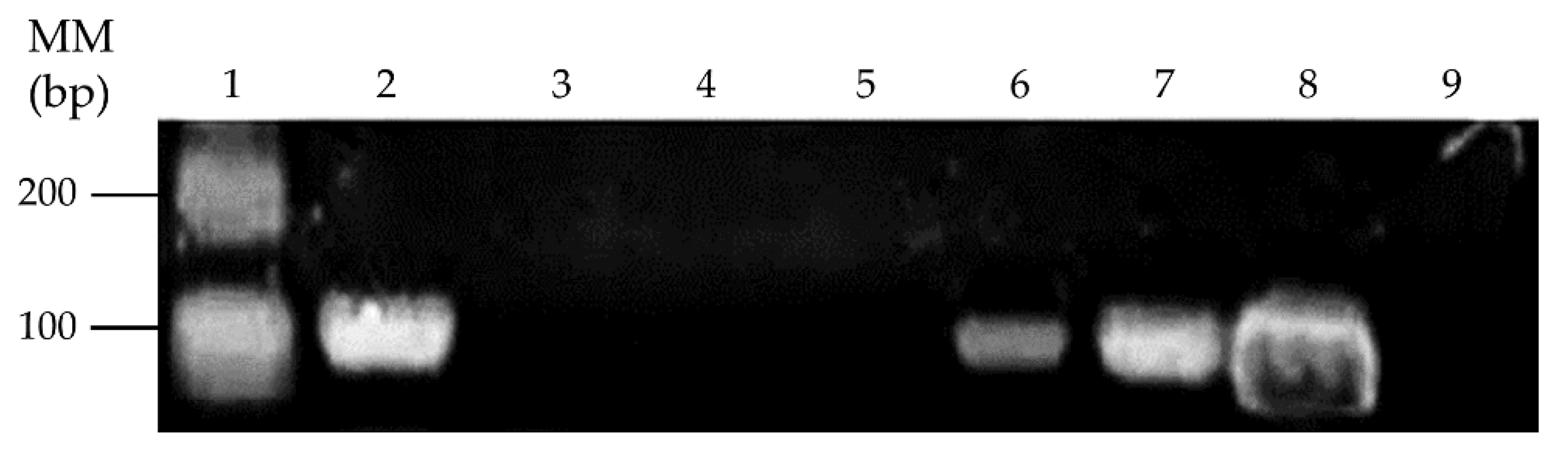 Microorganisms 08 01952 g006