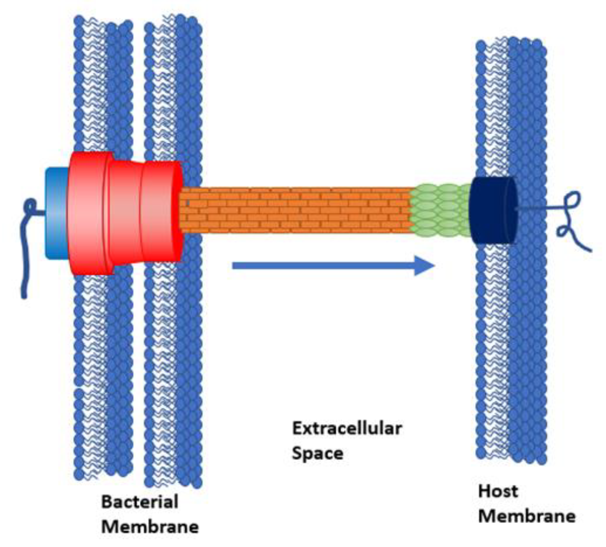 Microorganisms 08 01953 g001 Microorganisms 08 01953 g001
