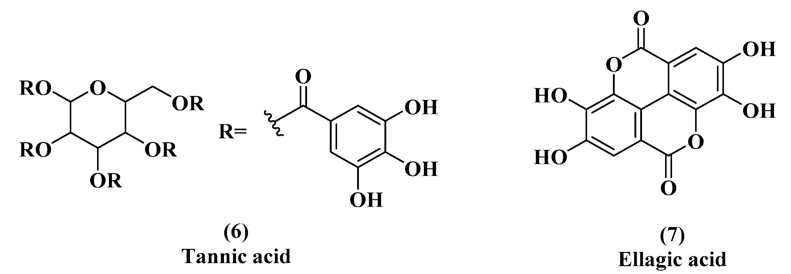 Microorganisms 08 01953 g004 Microorganisms 08 01953 g004