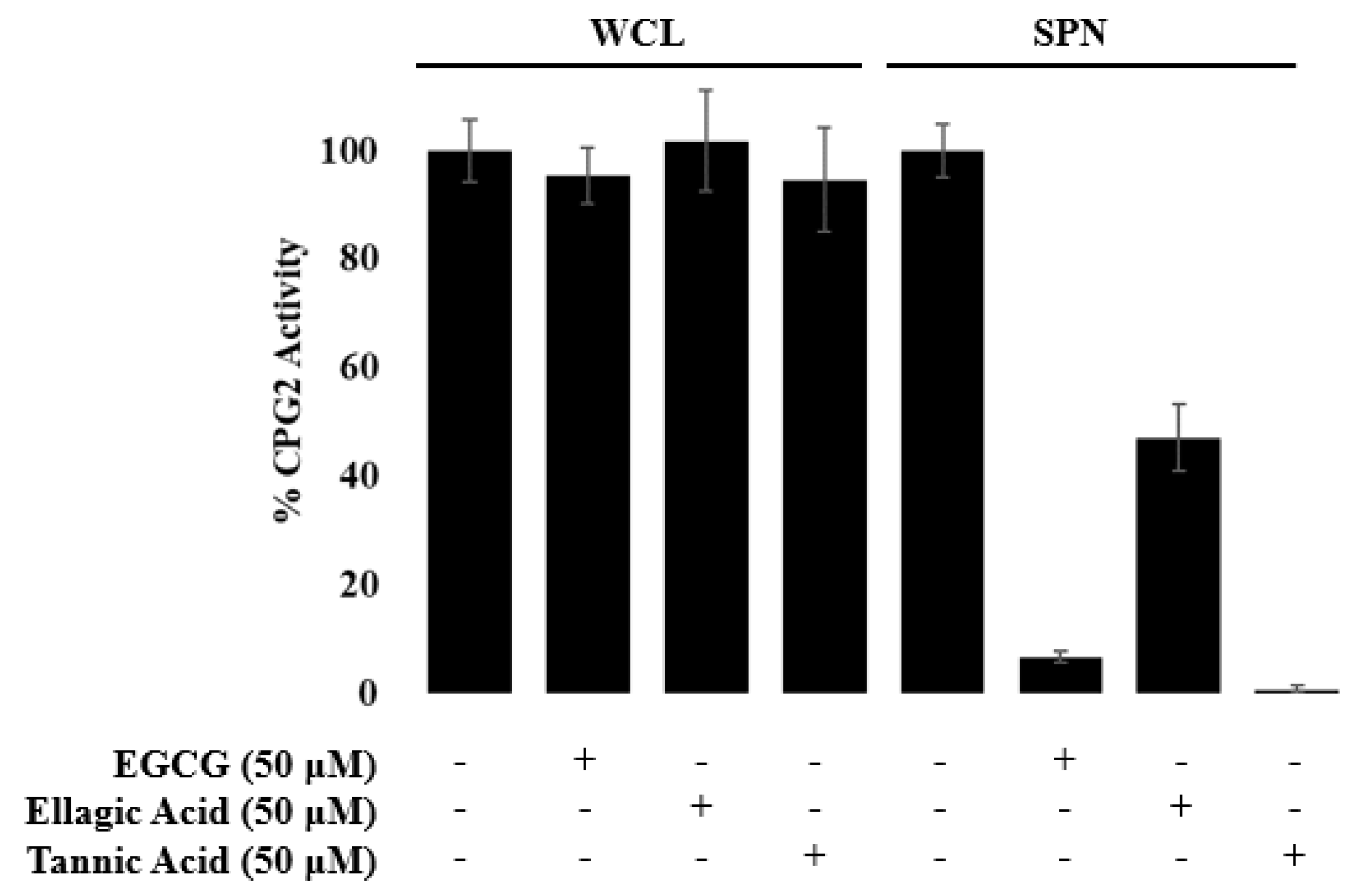 Microorganisms 08 01953 g007 Microorganisms 08 01953 g007