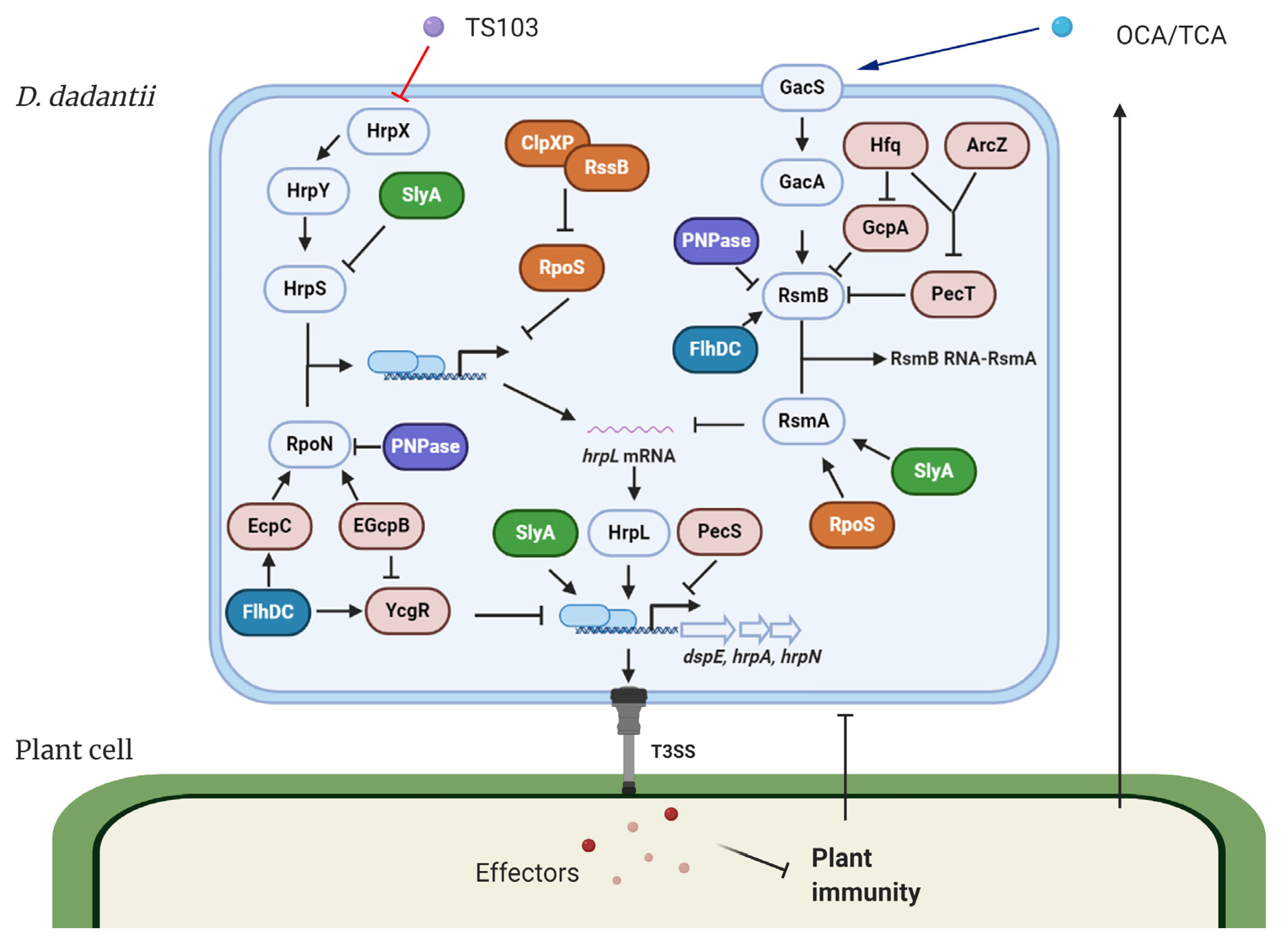 Microorganisms 08 01956 g001 Microorganisms 08 01956 g001