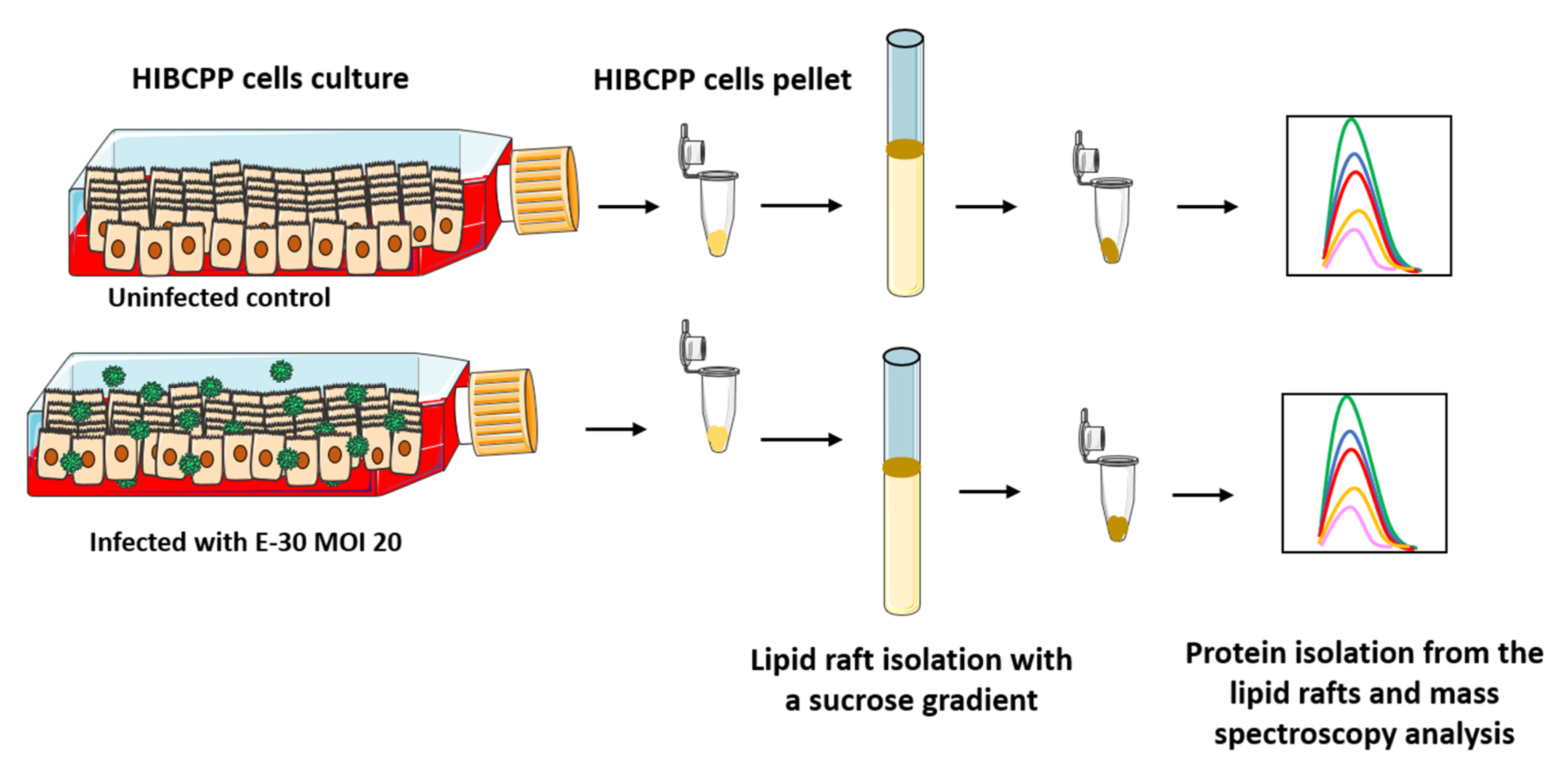 Microorganisms 08 01958 g001 Microorganisms 08 01958 g001