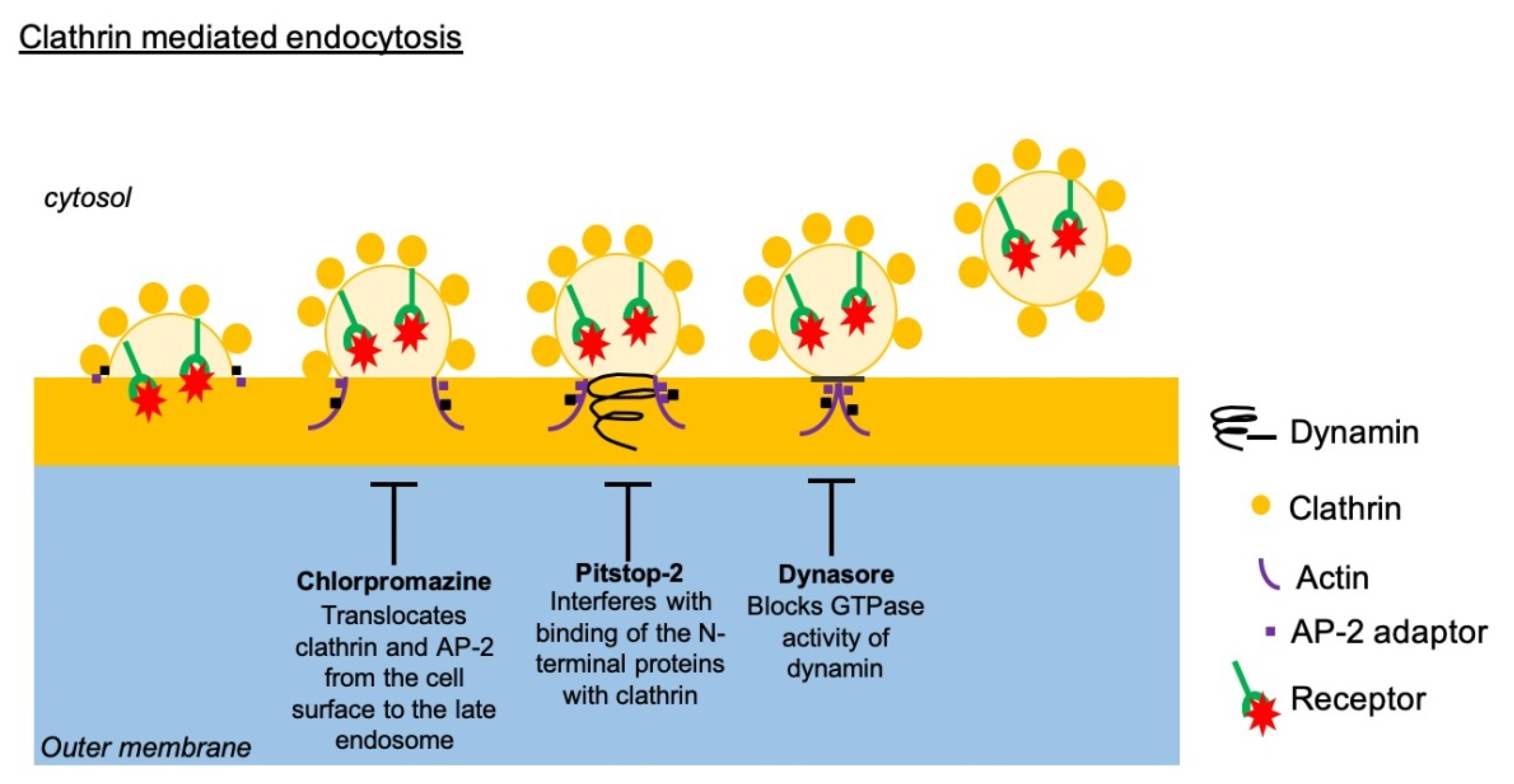 Microorganisms 08 01958 g002 Microorganisms 08 01958 g002