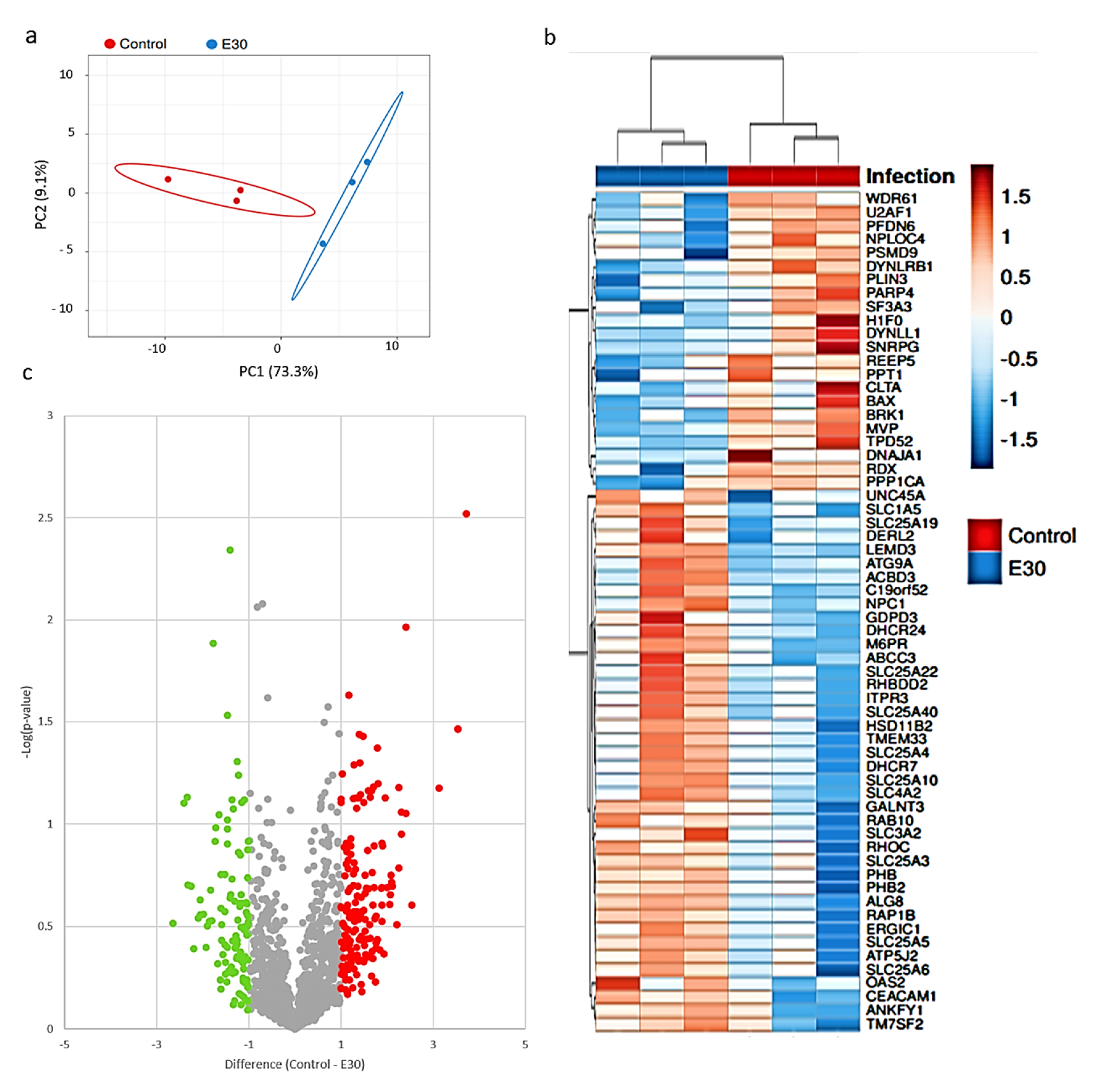 Microorganisms 08 01958 g004 Microorganisms 08 01958 g004