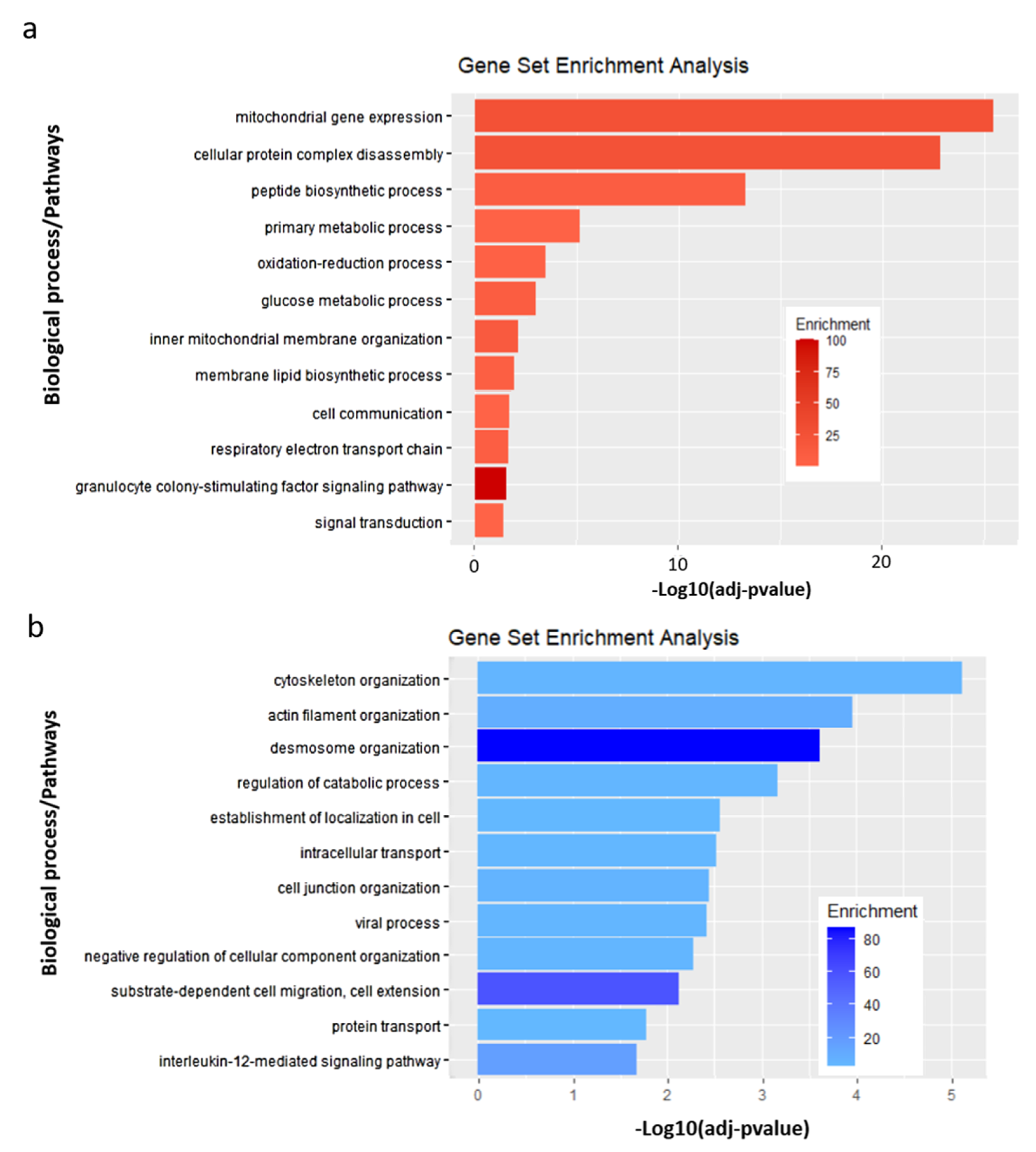 Microorganisms 08 01958 g005 Microorganisms 08 01958 g005