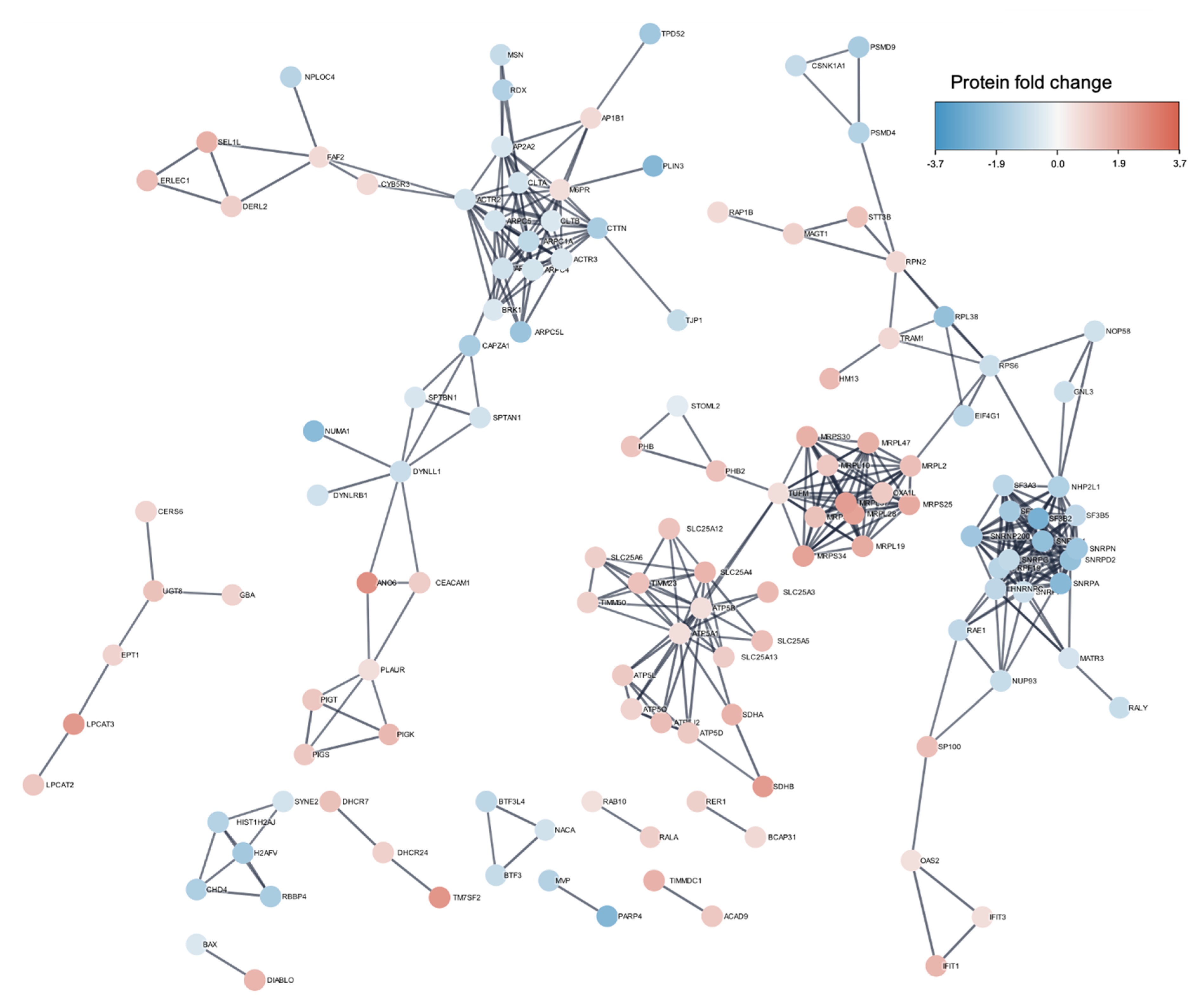 Microorganisms 08 01958 g007 Microorganisms 08 01958 g007