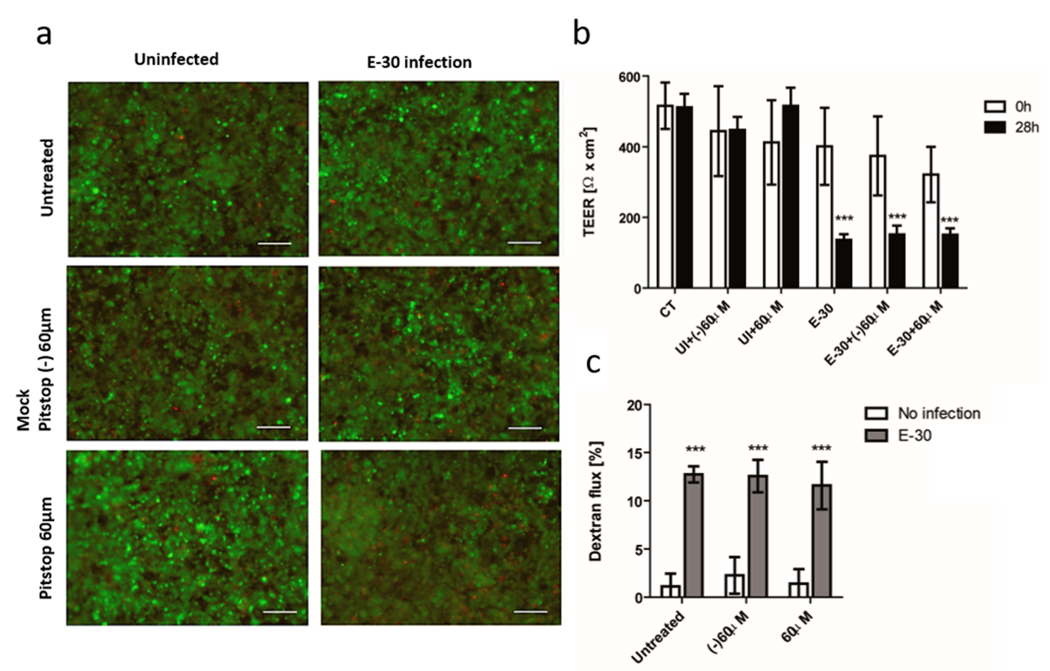 Microorganisms 08 01958 g008 Microorganisms 08 01958 g008