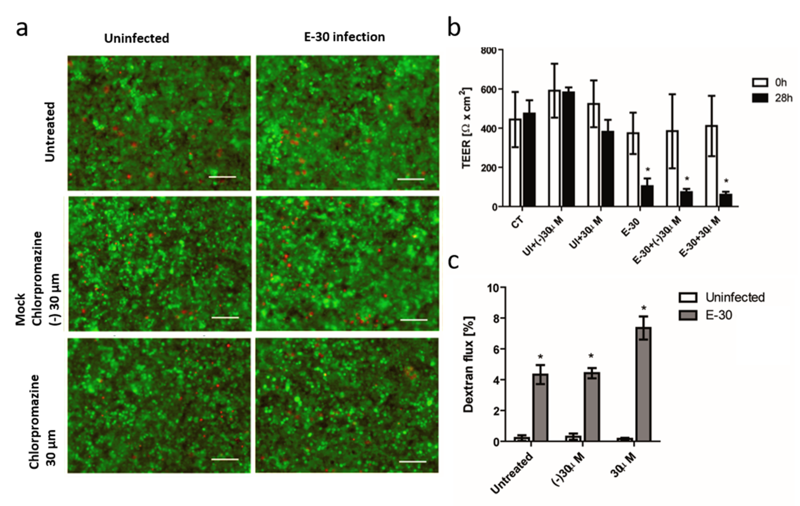 Microorganisms 08 01958 g009 Microorganisms 08 01958 g009