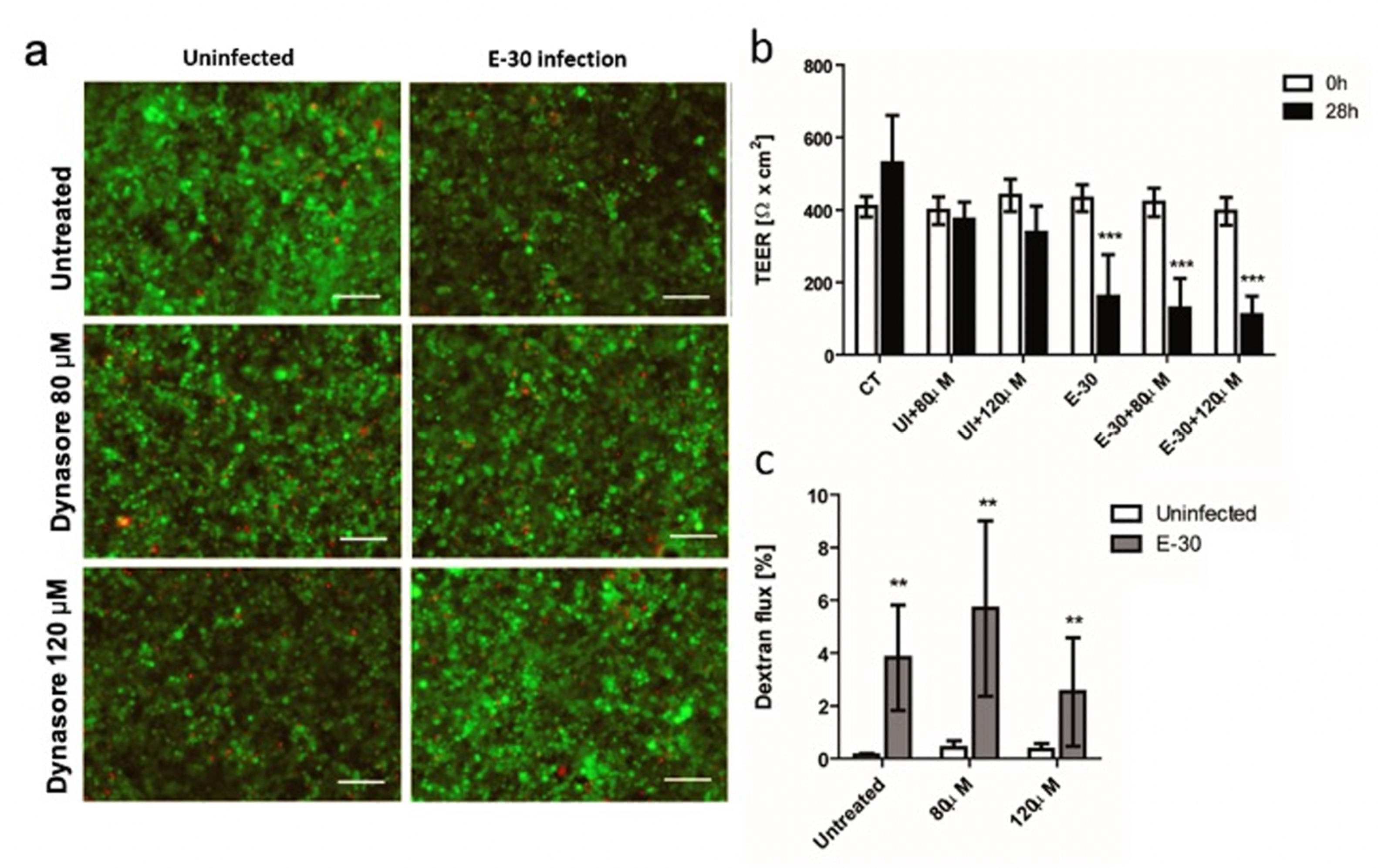 Microorganisms 08 01958 g010 Microorganisms 08 01958 g010