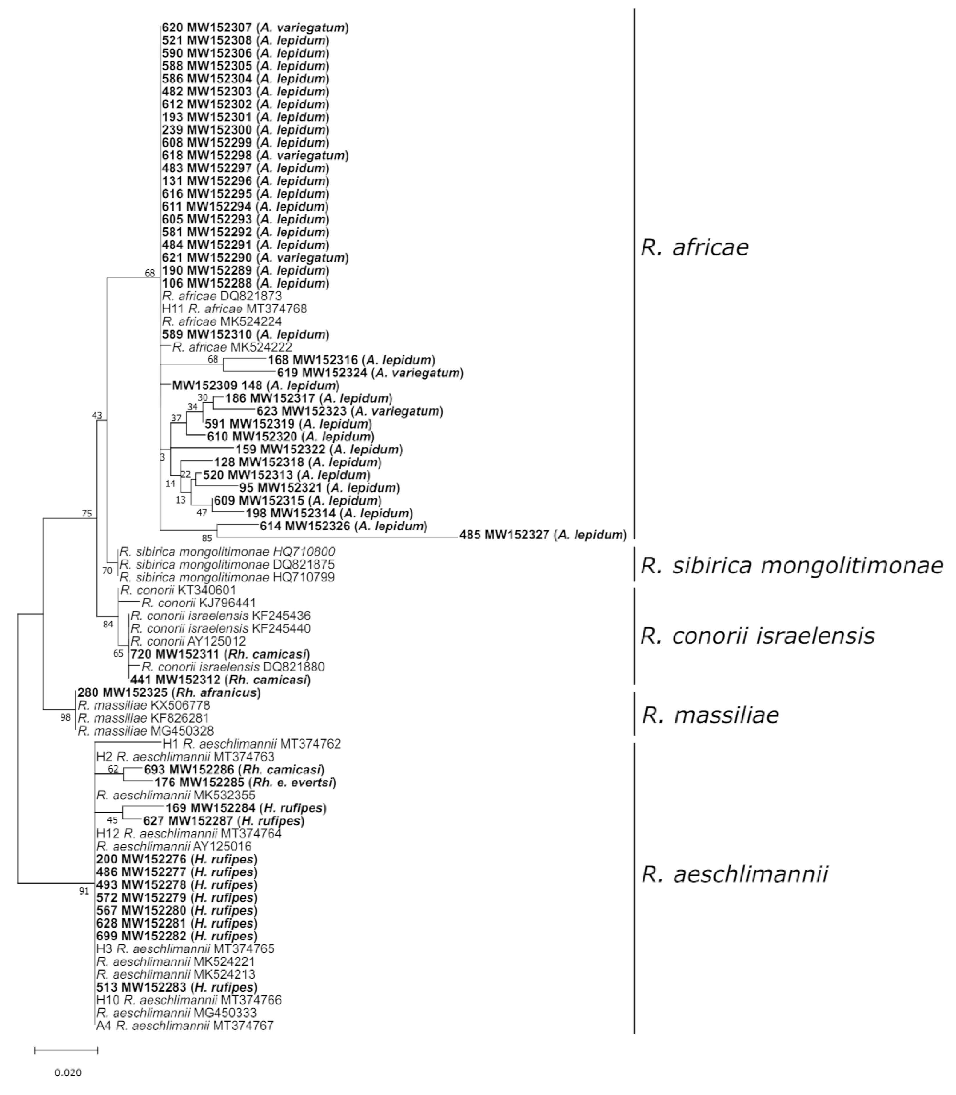 Microorganisms 08 01969 g005 Microorganisms 08 01969 g005