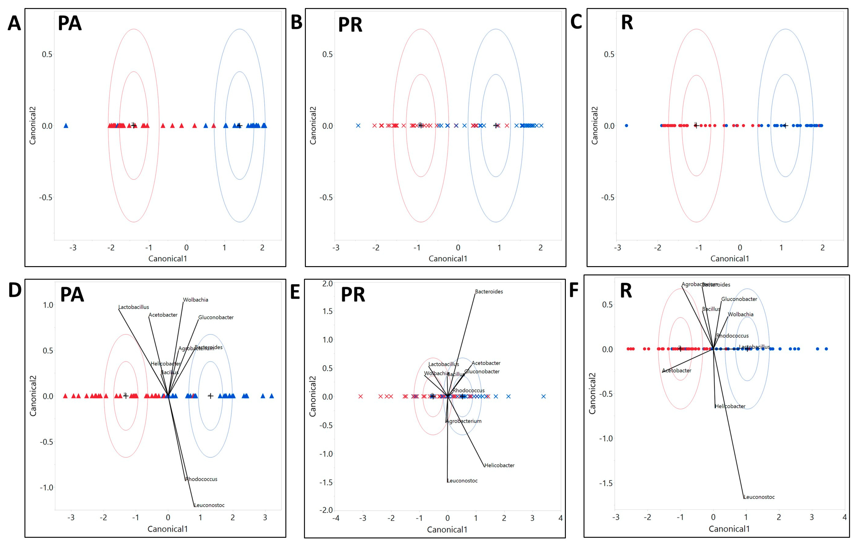 Microorganisms 08 01972 g005 Microorganisms 08 01972 g005
