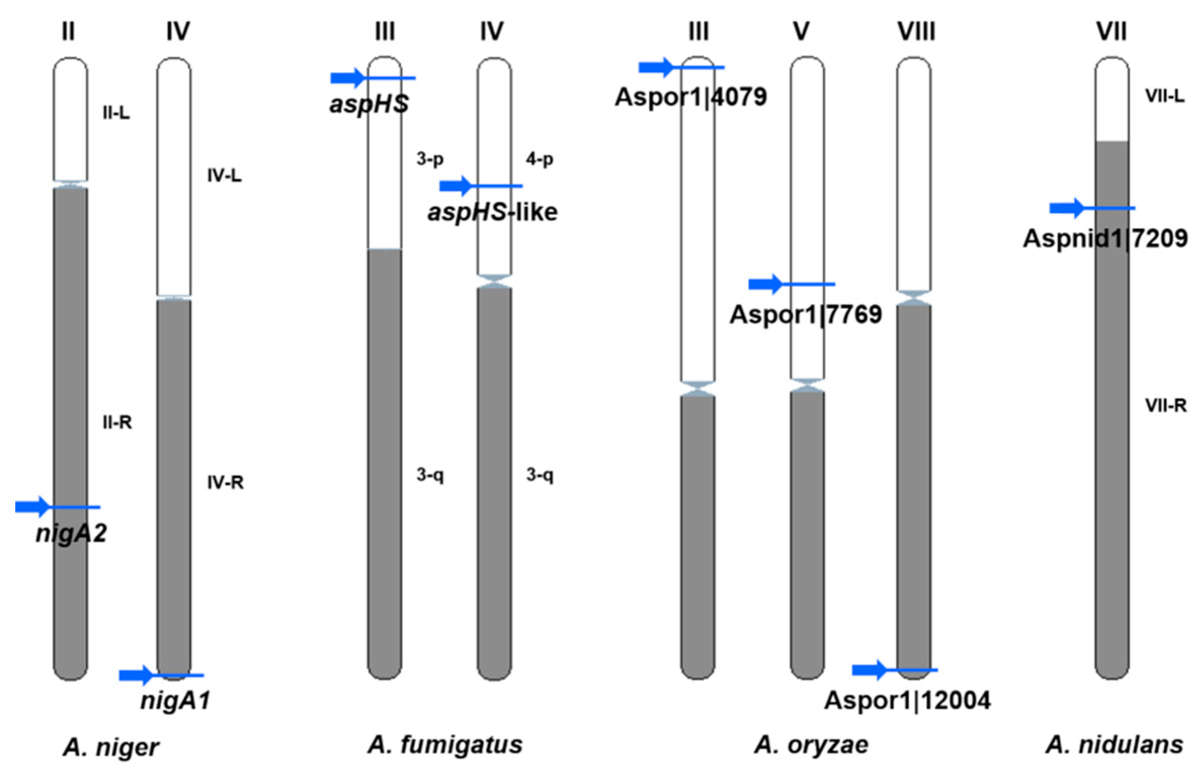 Microorganisms 08 01973 g007 Microorganisms 08 01973 g007