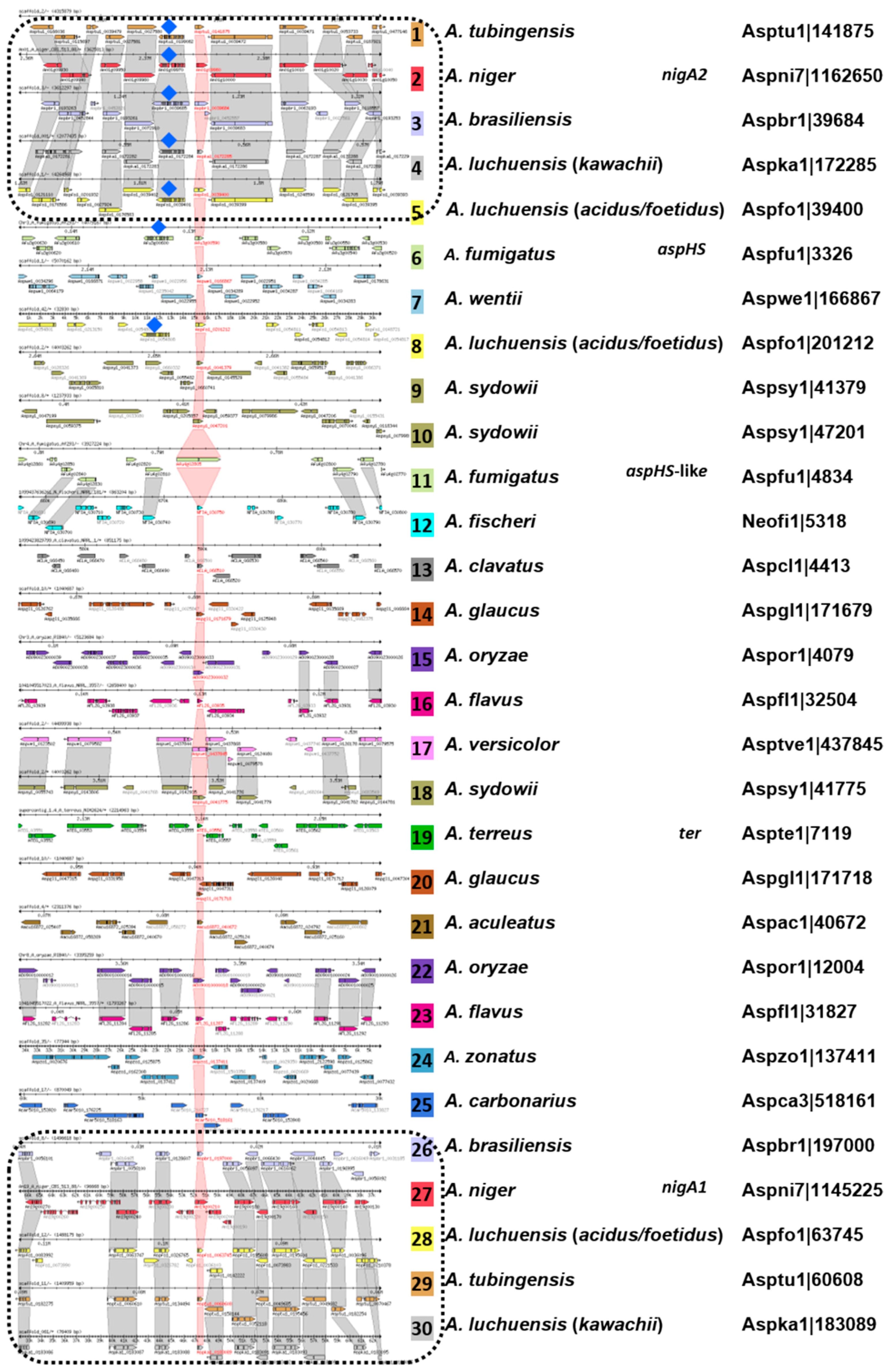 Microorganisms 08 01973 g009 Microorganisms 08 01973 g009