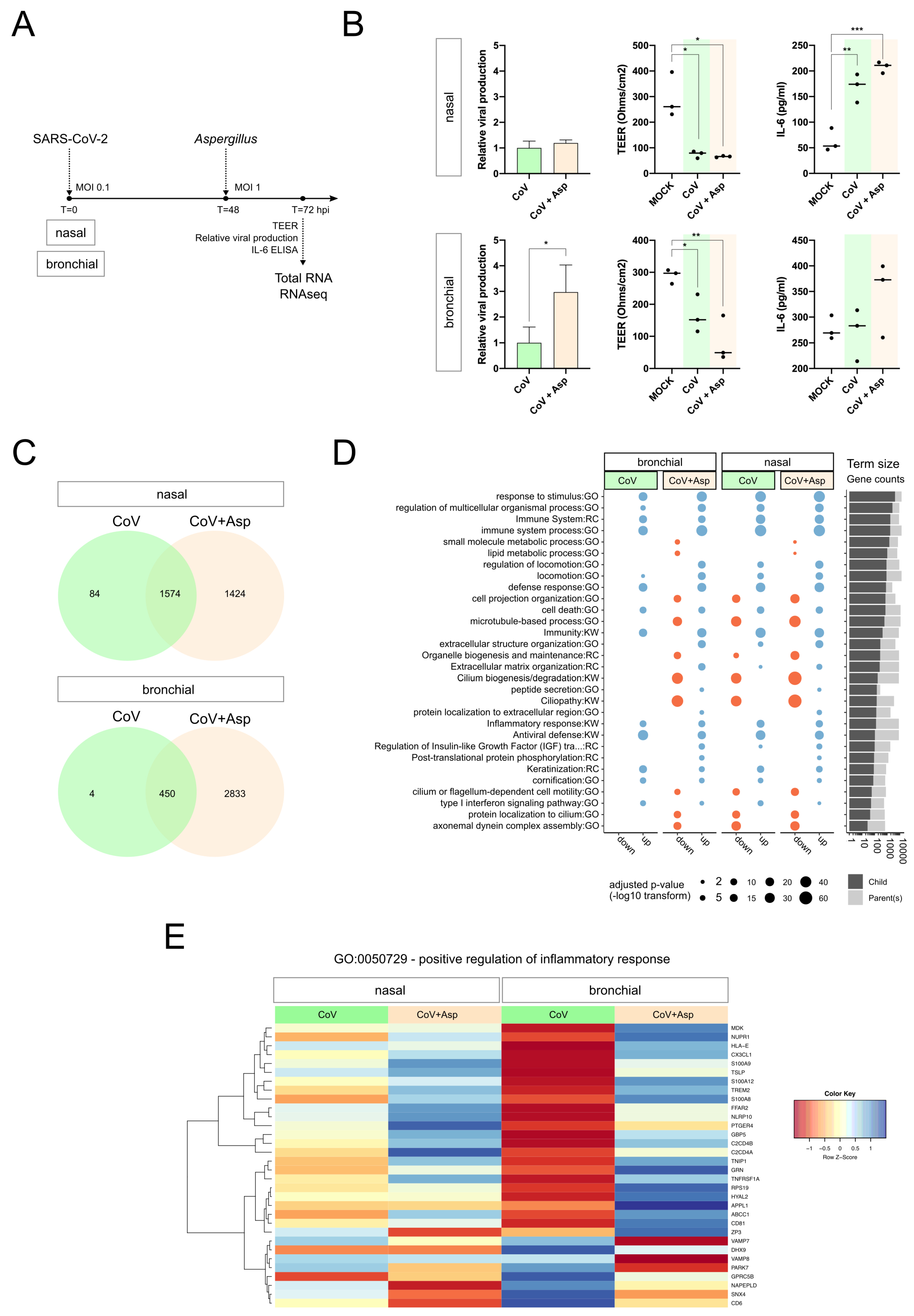 Microorganisms 08 01974 g001 Microorganisms 08 01974 g001