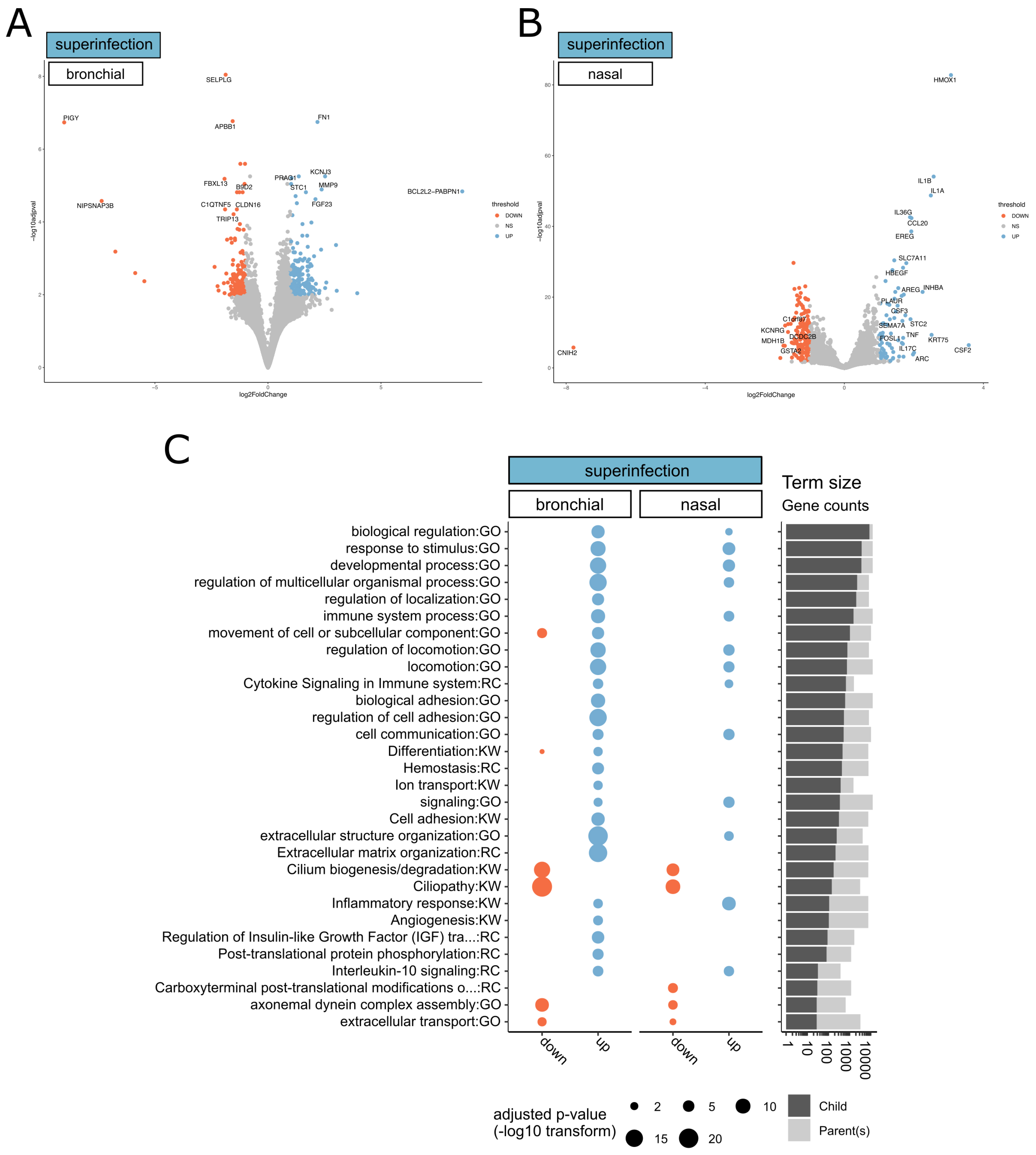 Microorganisms 08 01974 g002 Microorganisms 08 01974 g002