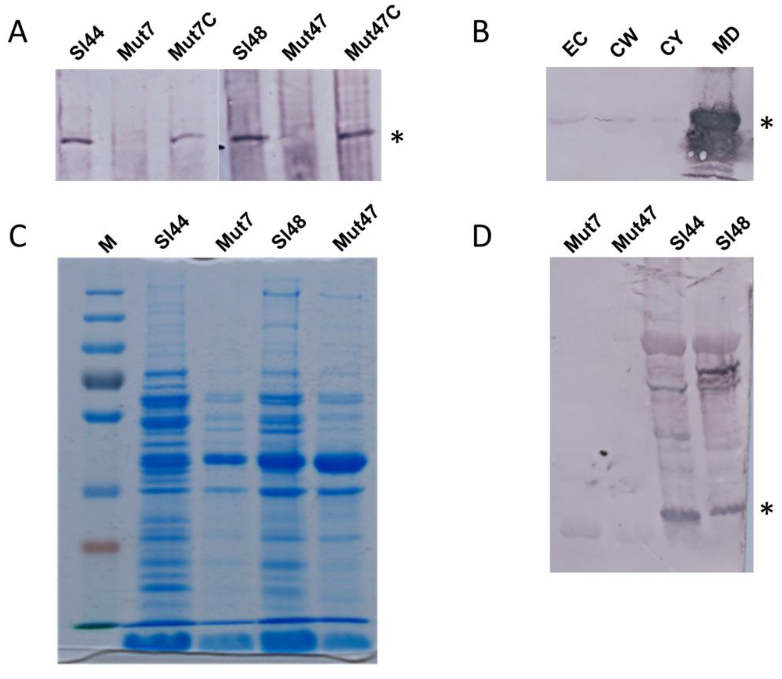 Microorganisms 08 01975 g003