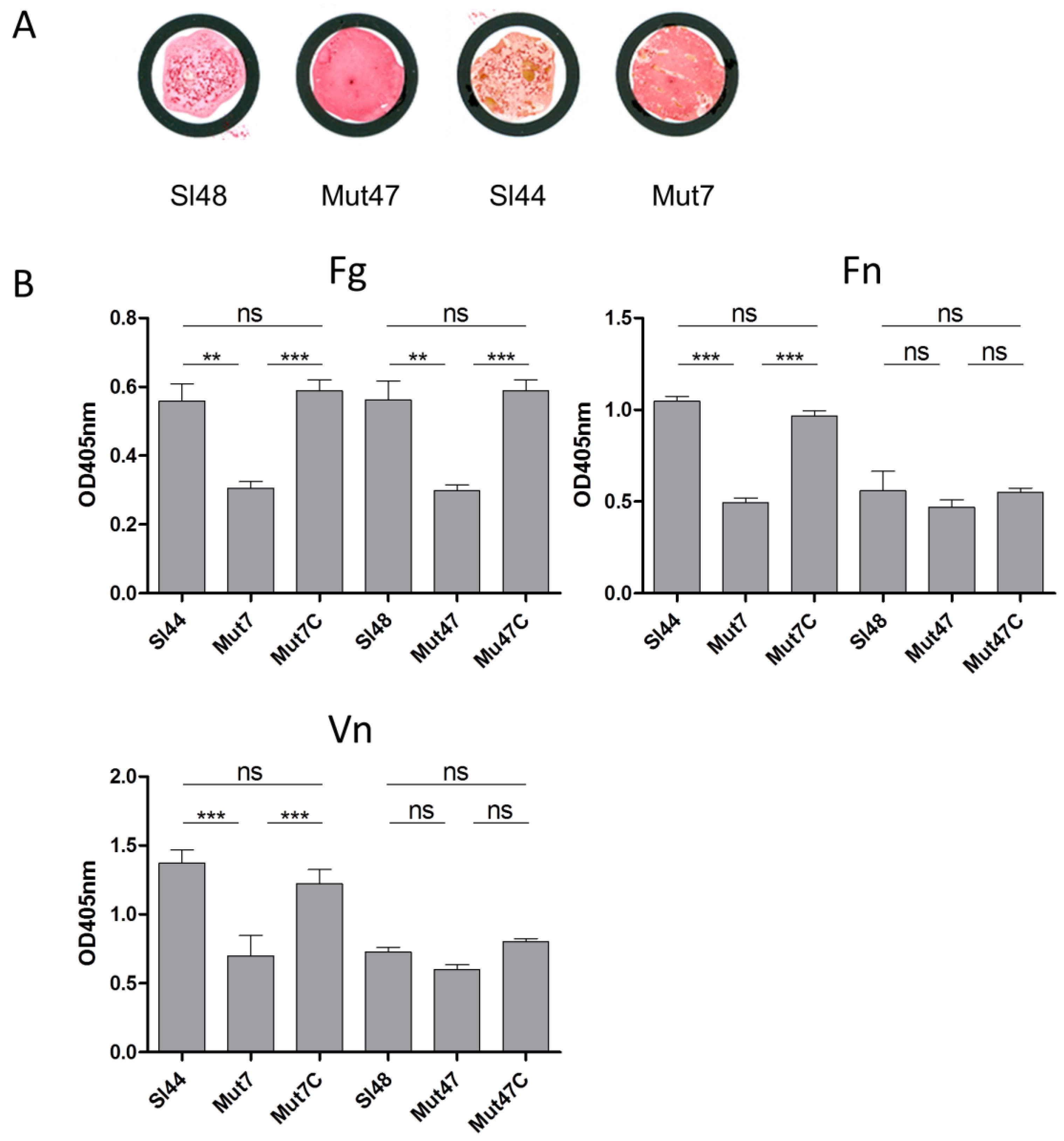 Microorganisms 08 01975 g006