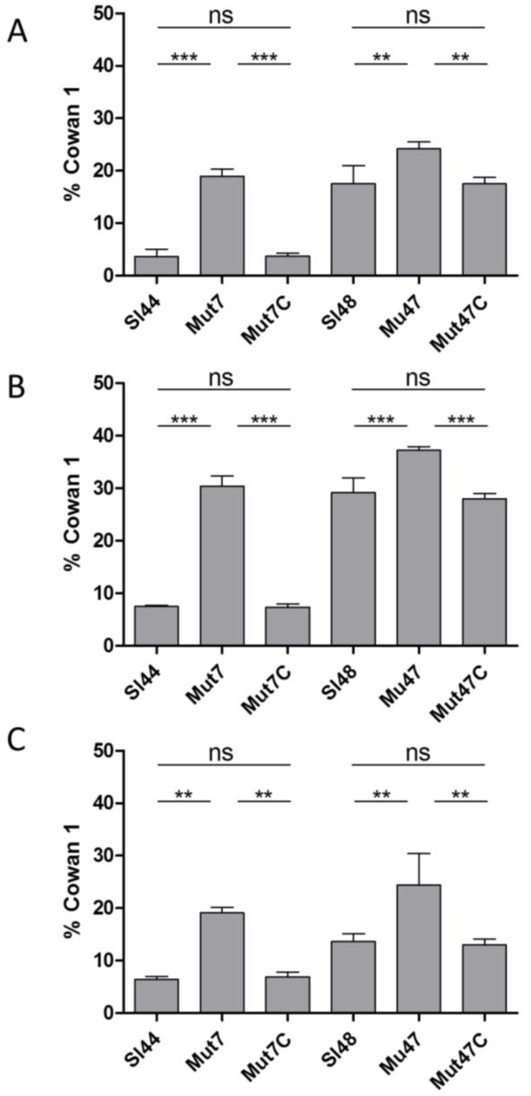 Microorganisms 08 01975 g011