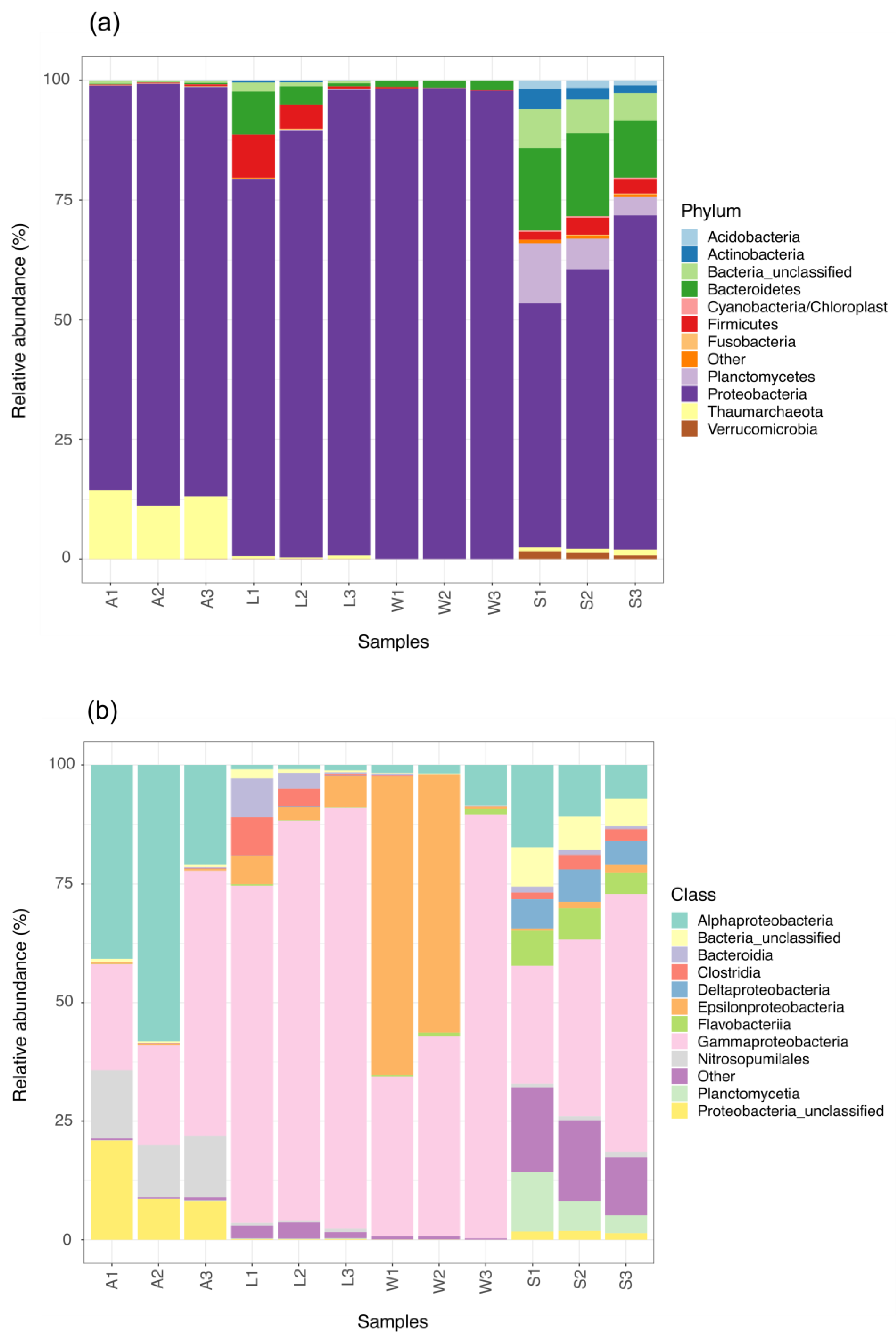 Microorganisms 08 01978 g002