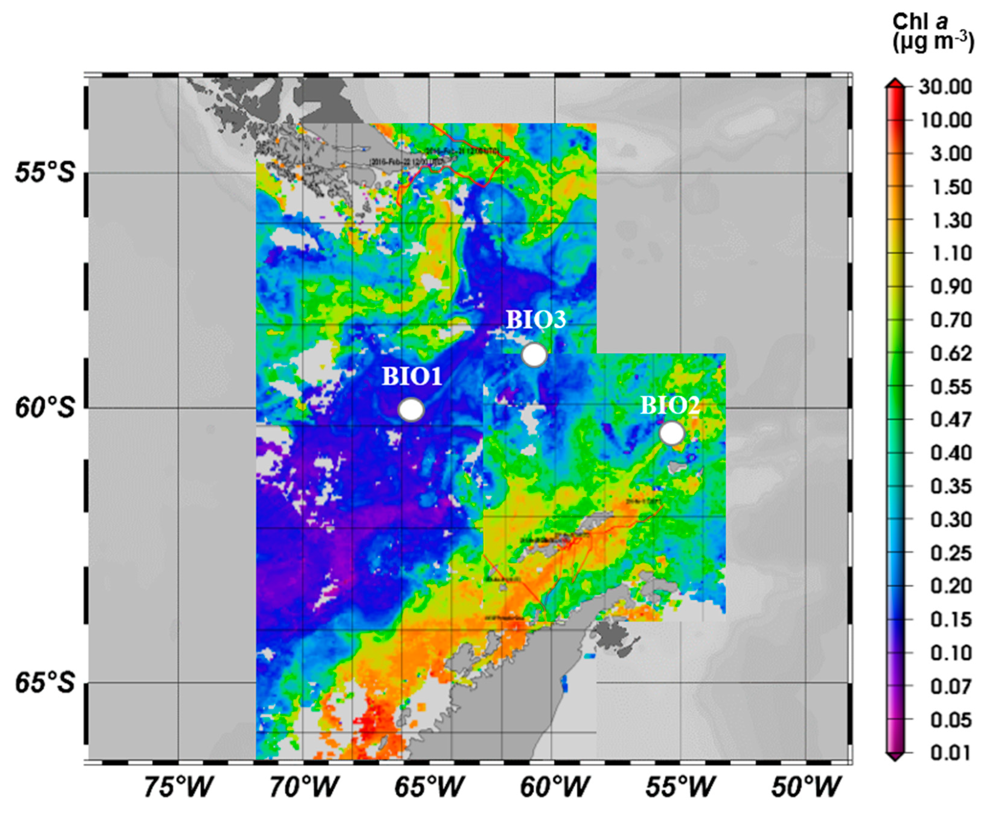 Microorganisms 08 01980 g001